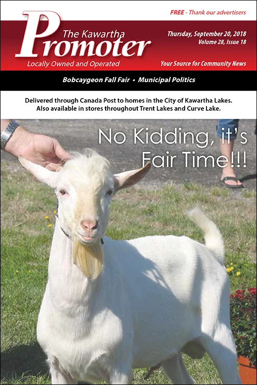 Volume 28, Issue 18