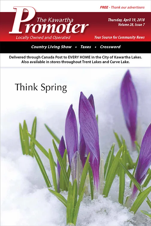 Volume 28, Issue 7