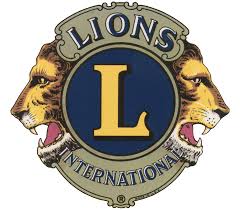 Awesome Year for the Lions