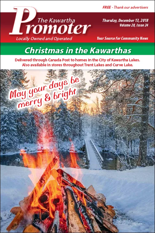 Volume 28, Issue 24