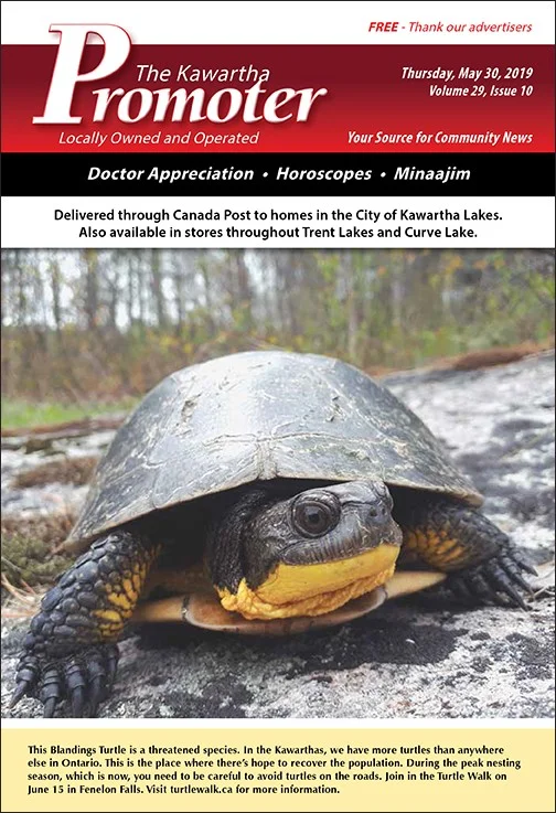 Volume 29, Issue 10