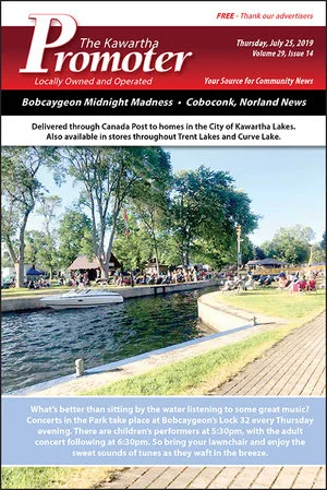Volume 29, Issue 14