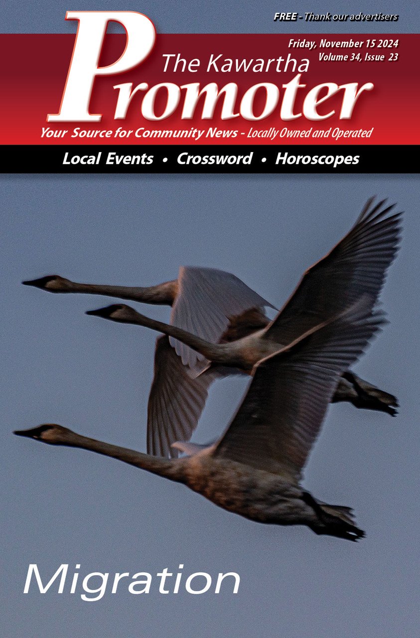 The Kawartha Promoter - November 15, 2024 - Volume 34 Issue 23