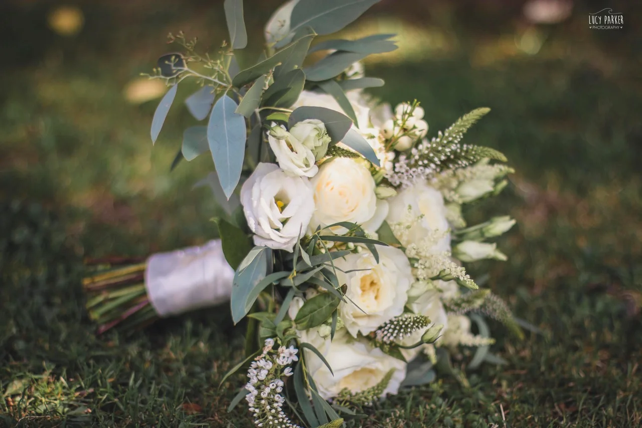 Image by Lucy Parker: https://www.lucyparkerphotography.co.uk/
