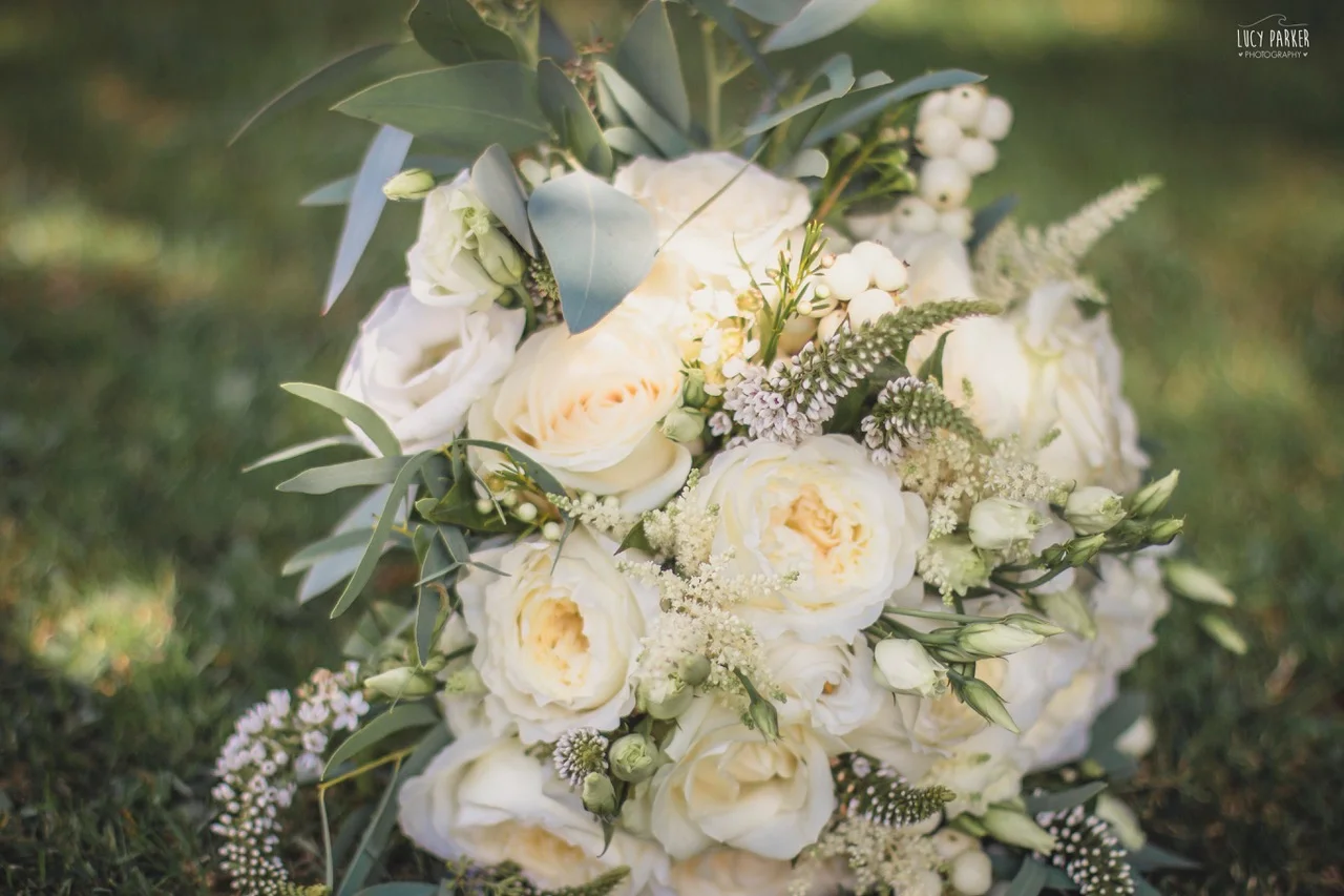 Image by Lucy Parker: https://www.lucyparkerphotography.co.uk/