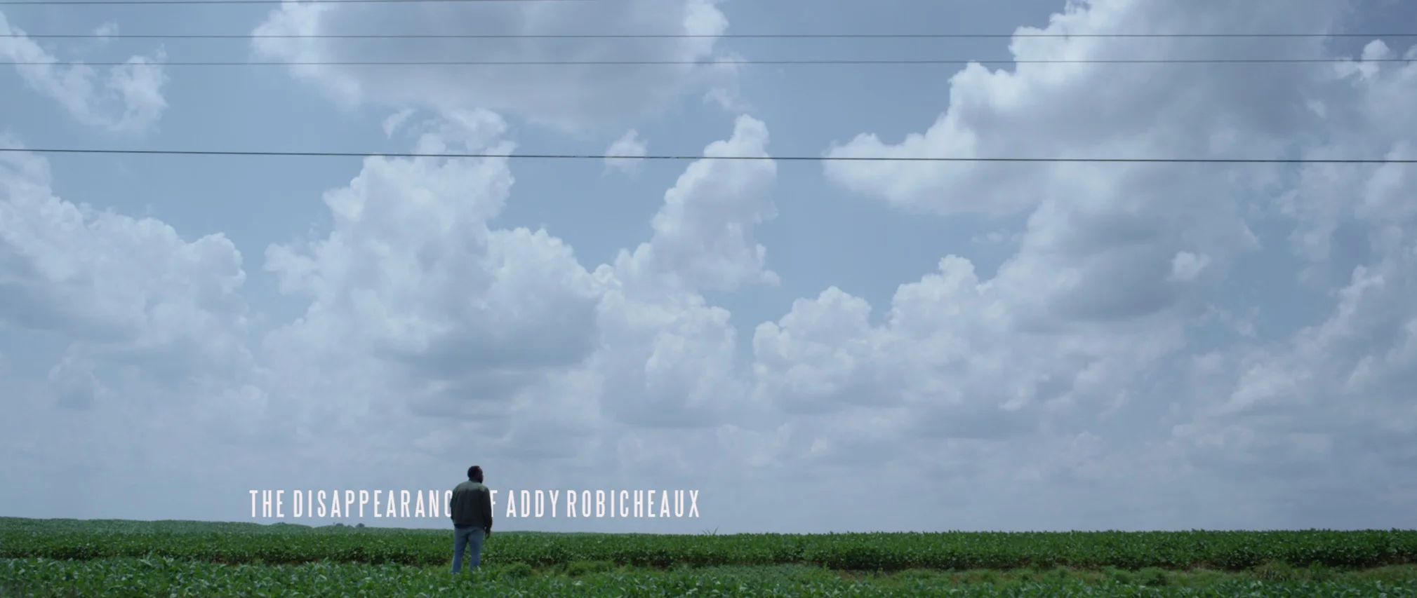 The Disappearance of Addy Robicheaux