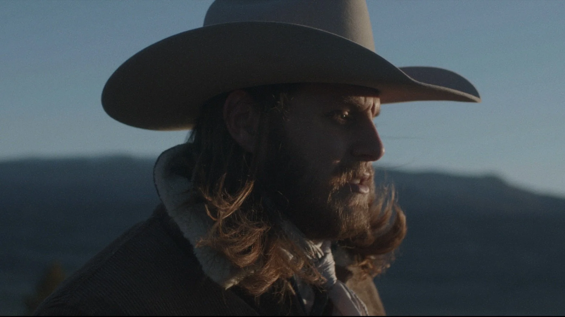 Wild Horse - Warren Zeiders