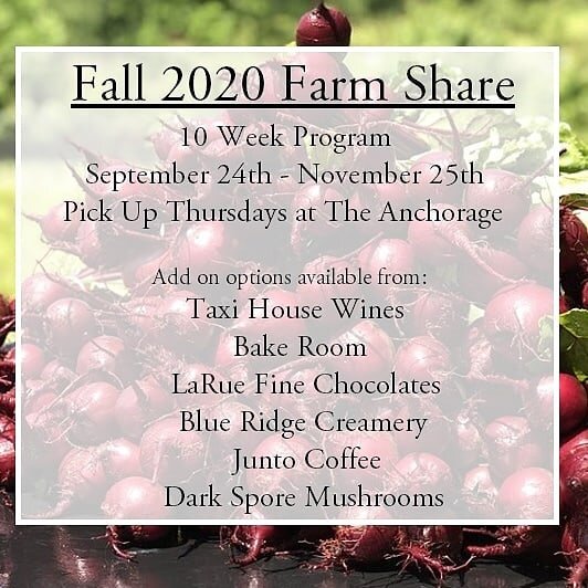 Our Fall Farm Share is now available to order!  This 10 week CSA includes a weekly bag of vegetables and optional add ons from Taxi House Wines, Bake Room, Blue Ridge Creamery, Junto Coffee, Larue Fine Chocolate and Dark Spore Mushroom Company.  Orde