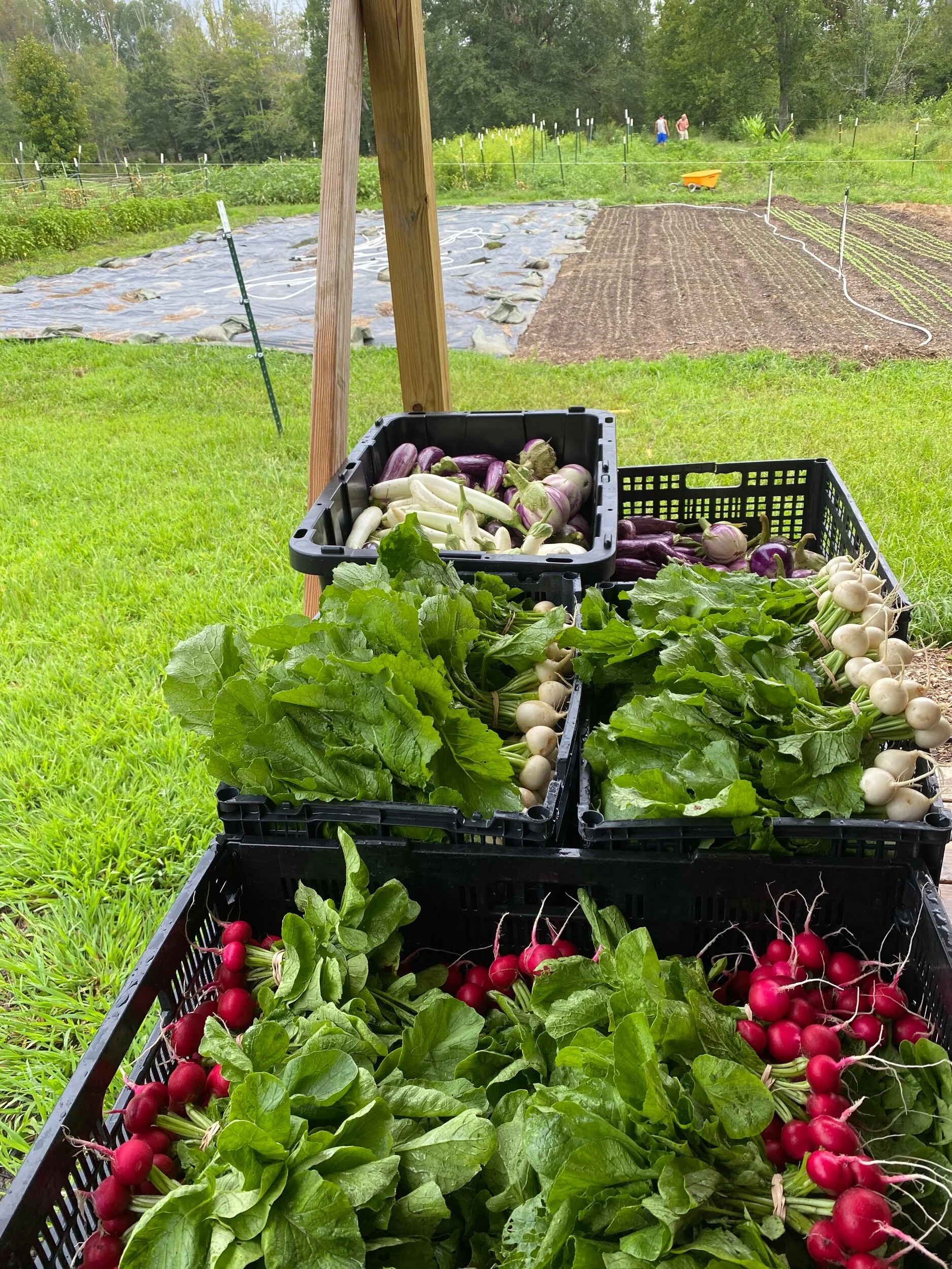 9829A5E7-6835-44DA-819E-5CB6DECFD6D0