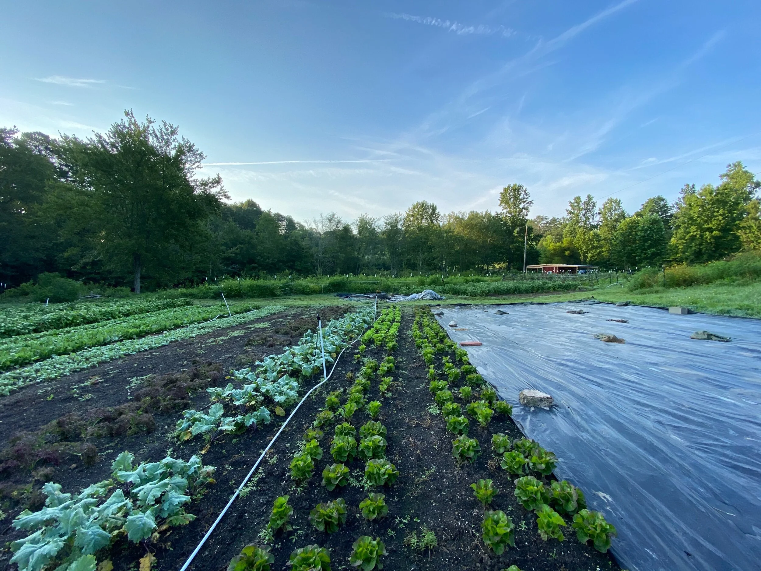 0B9C7386-E71A-4CFE-A2F1-E0C77F1DED23