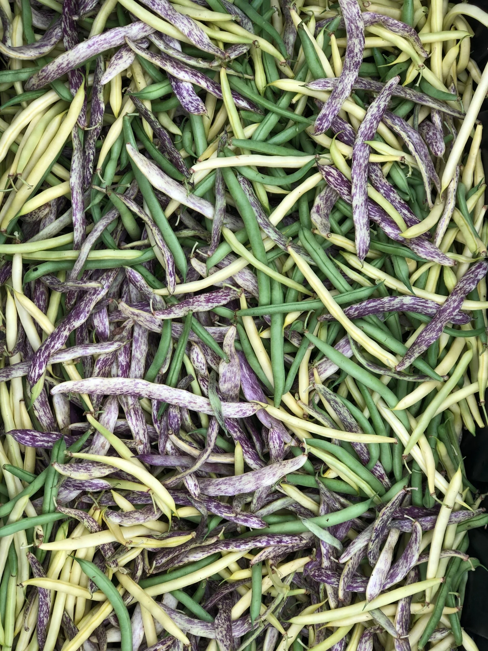 C9AE0291-4F01-4664-926D-FC17C94BCD59