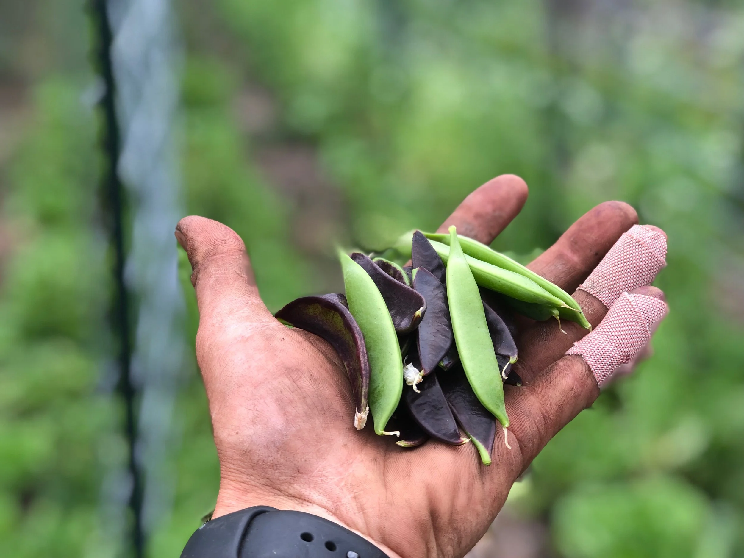 34433CCF-5EFA-487C-88BE-E57F4F3D1AE3