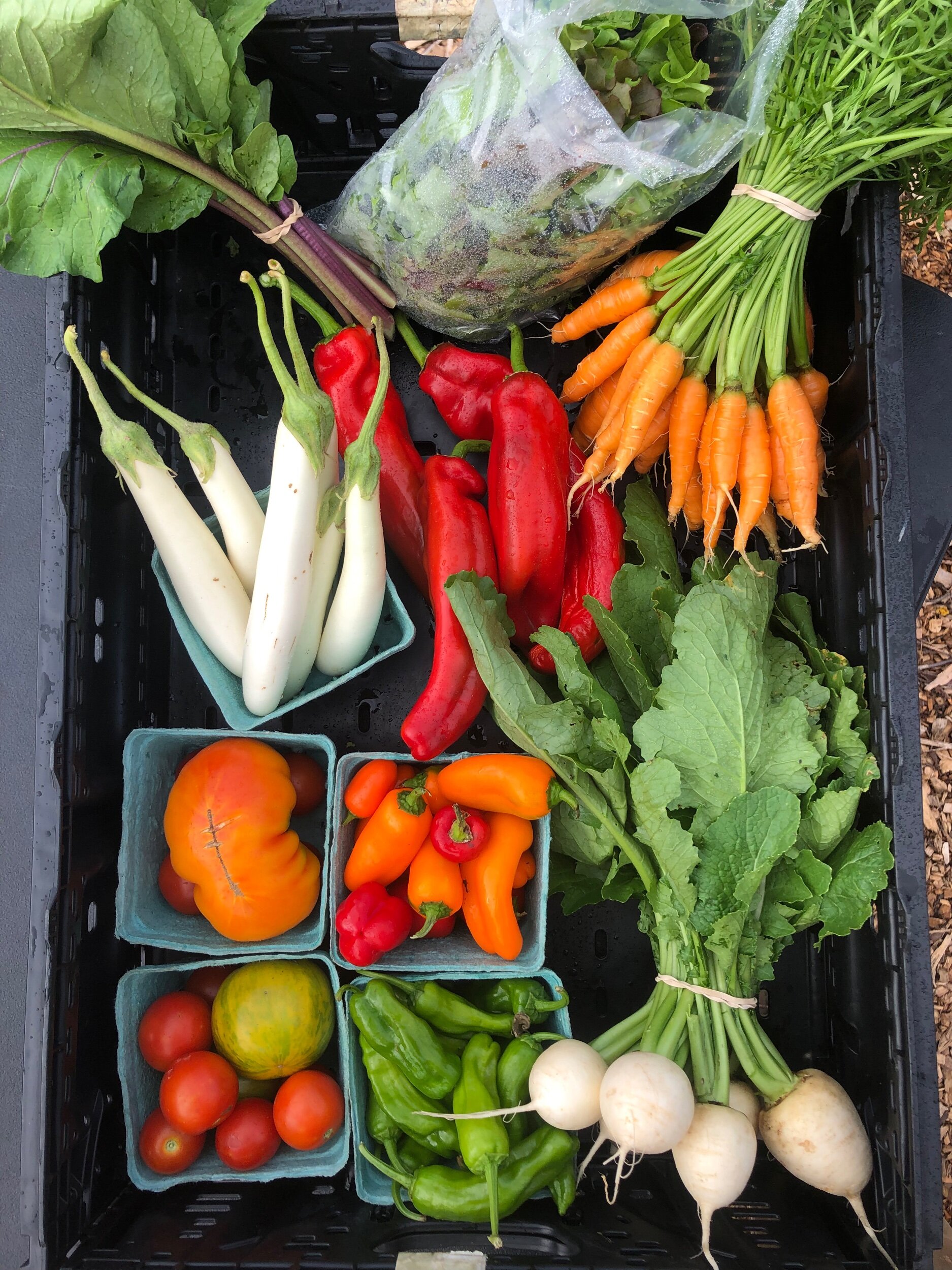 EEC2A919-2BEF-4DC3-B9C4-6FDB5C0FD846