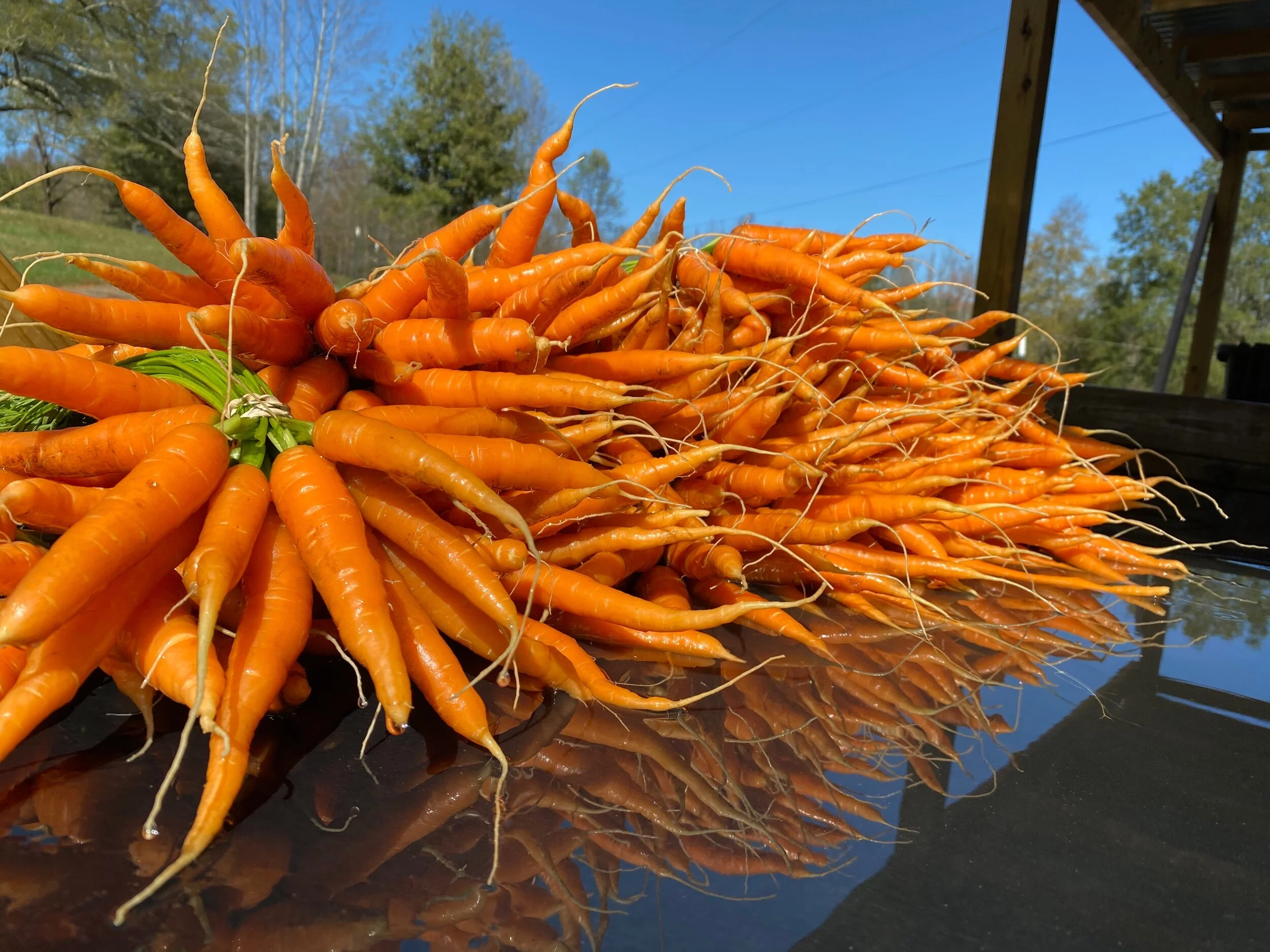 B704347E-4C97-45AF-B032-201C2F9D3A4C