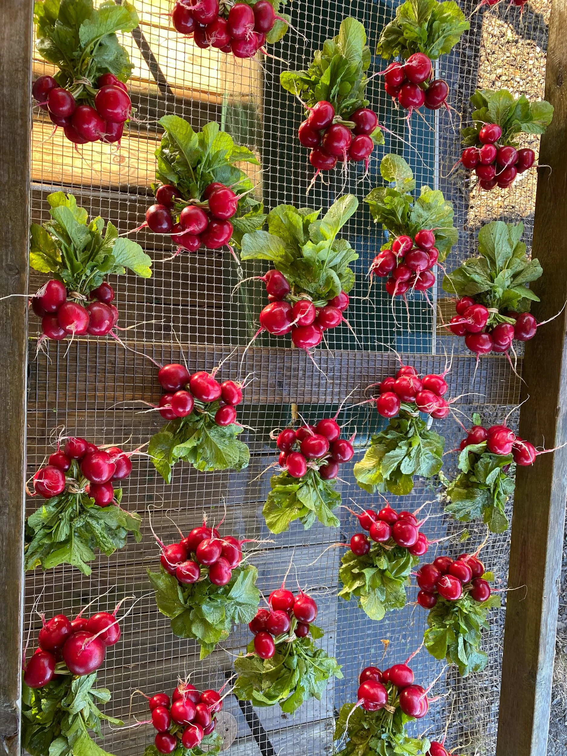 825BC2E1-10FD-4F24-A6F8-12700B108408