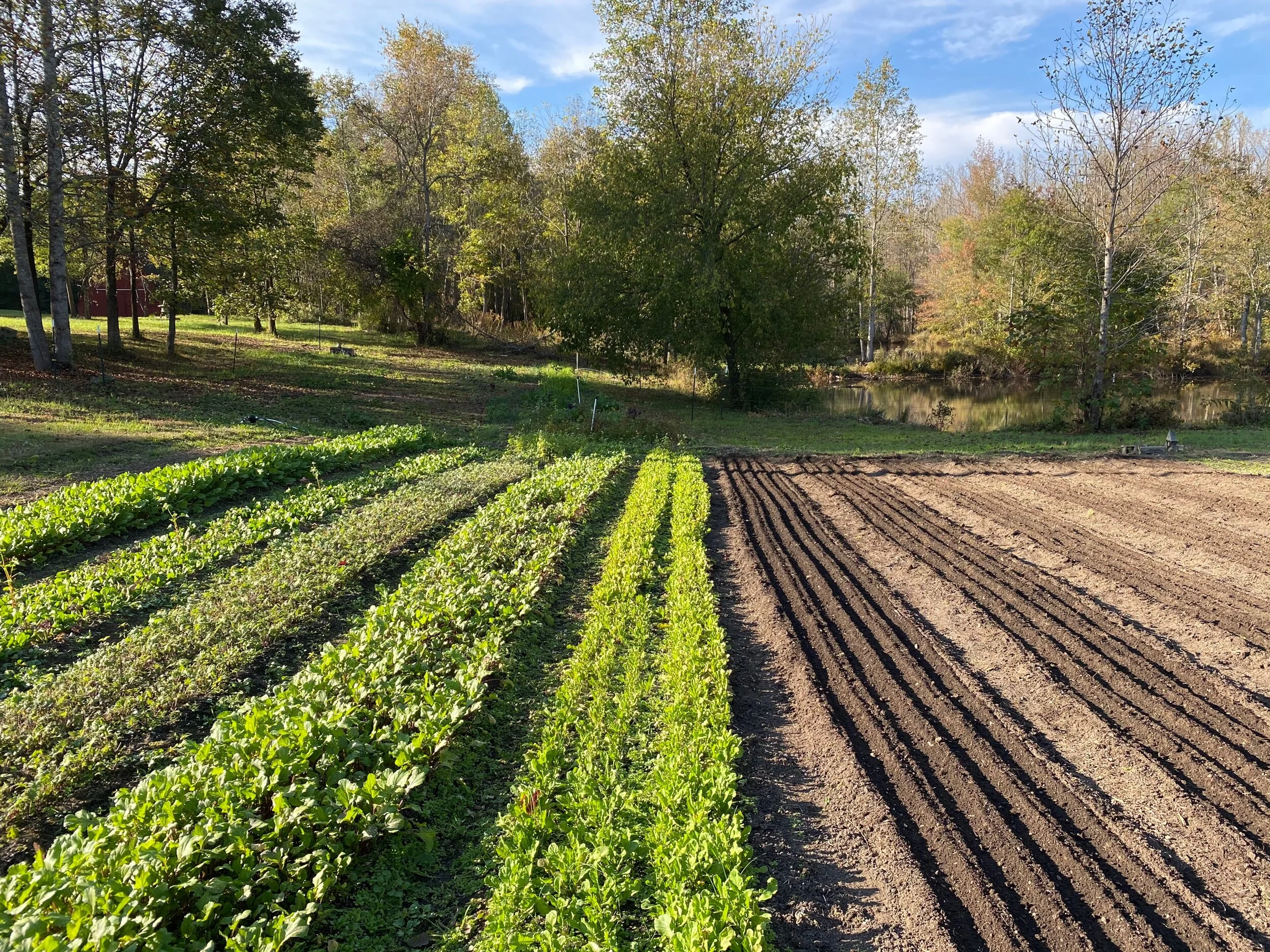 01AF4F73-751E-4C35-8056-DEB6E07B46C8