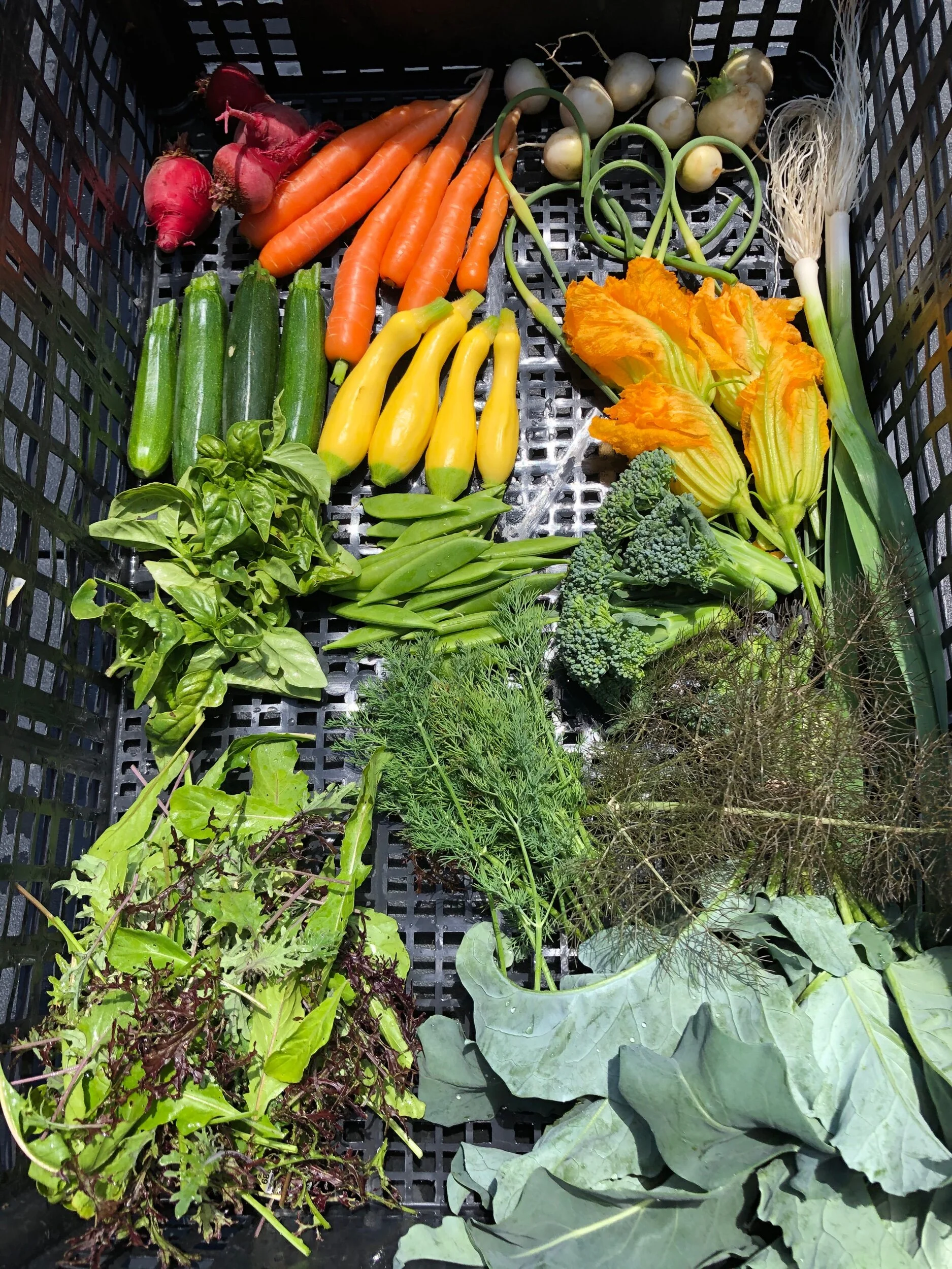 6F5969B8-C0F7-4480-98AC-19A4B6F5B15E