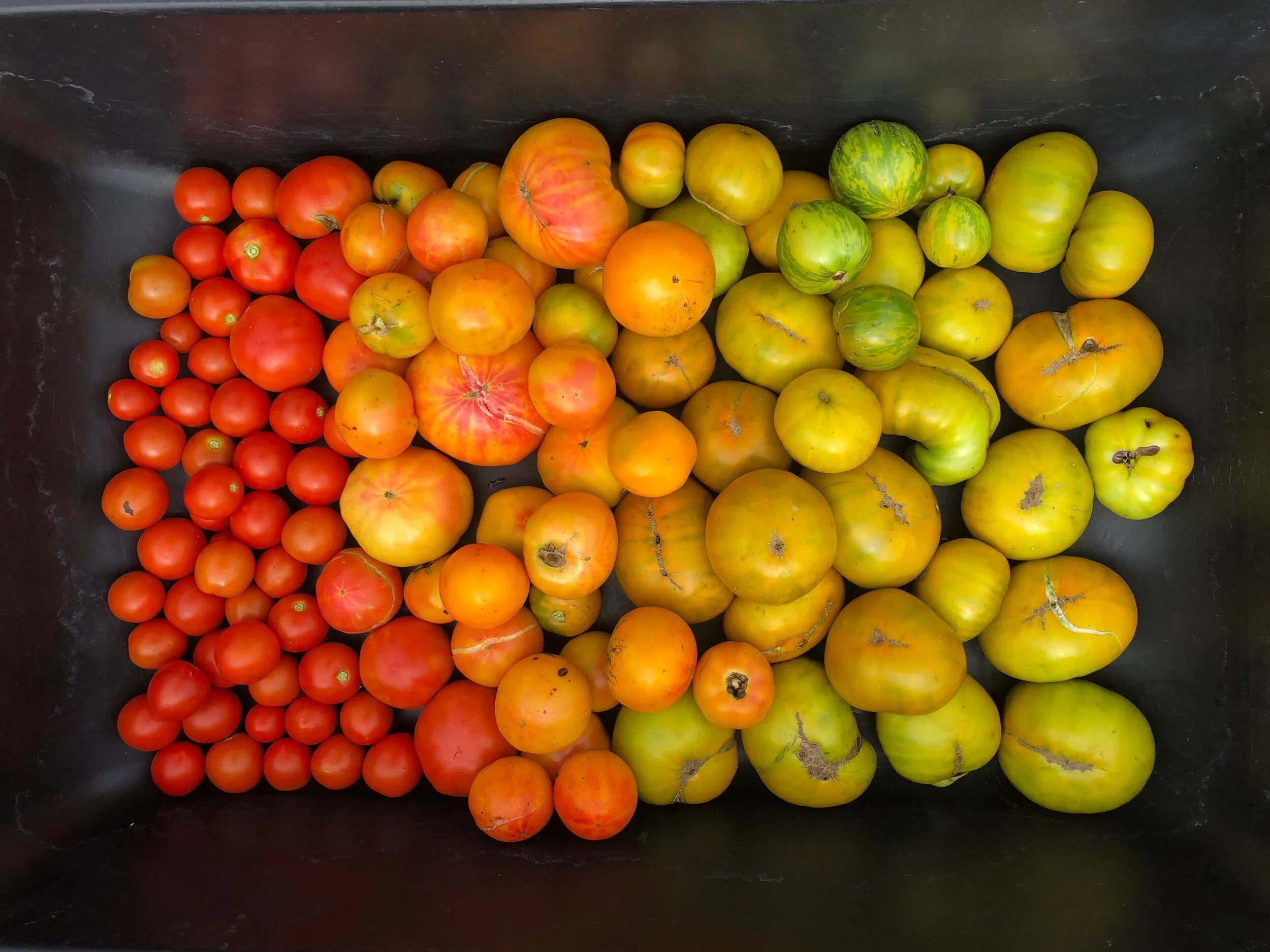 DBBFBC6F-67B2-4FD7-9CD7-6D6D012240A7