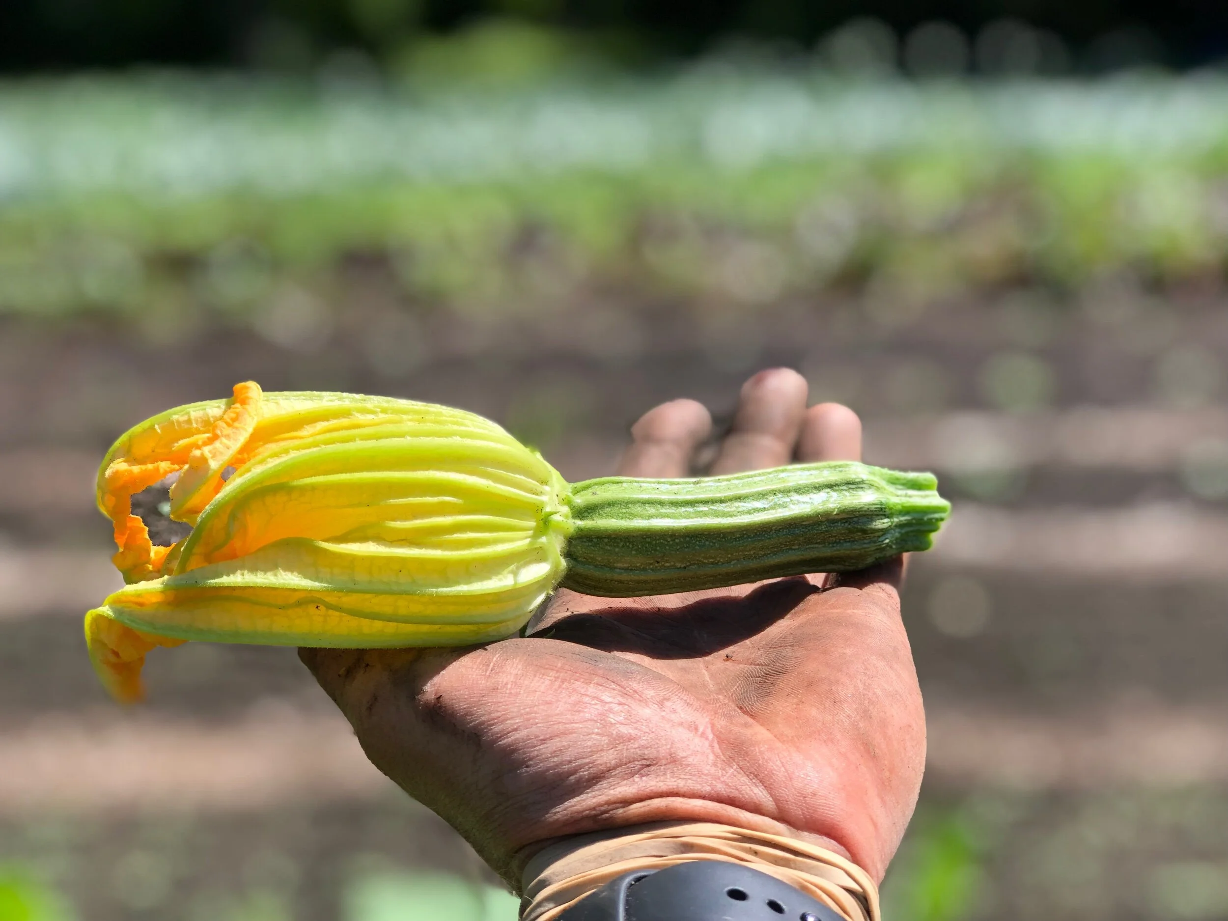 785965C7-06E6-4F00-8524-6F939D6E600A