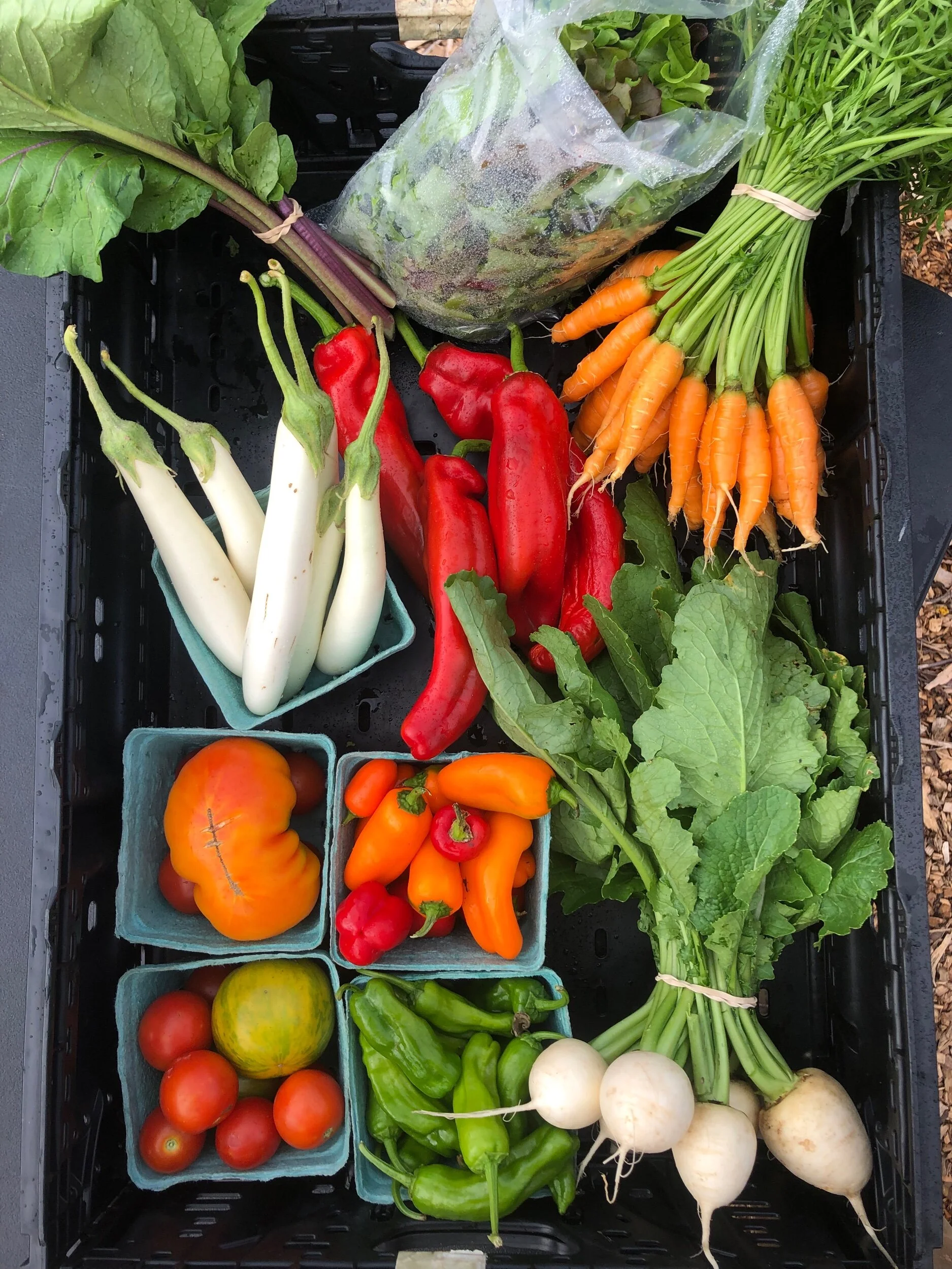 B2A86ACC-18E4-439B-B238-2A43151D955E