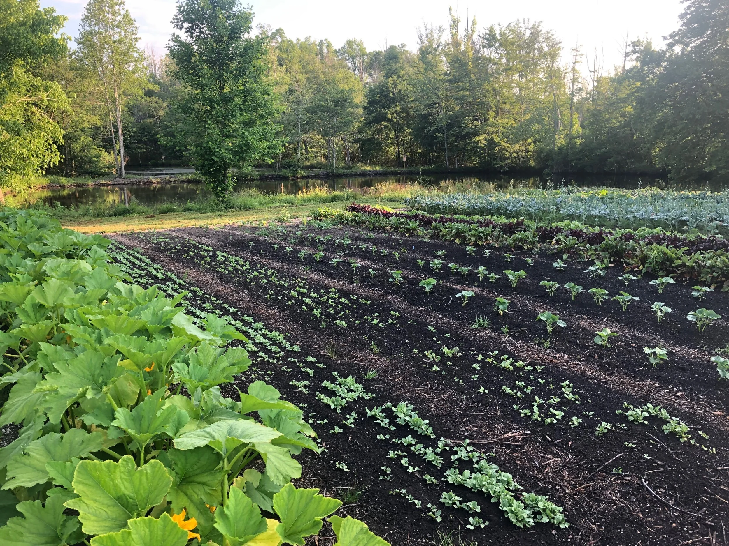 27CFB6FD-C098-4FCD-9AA2-2B5C9D3B1B00