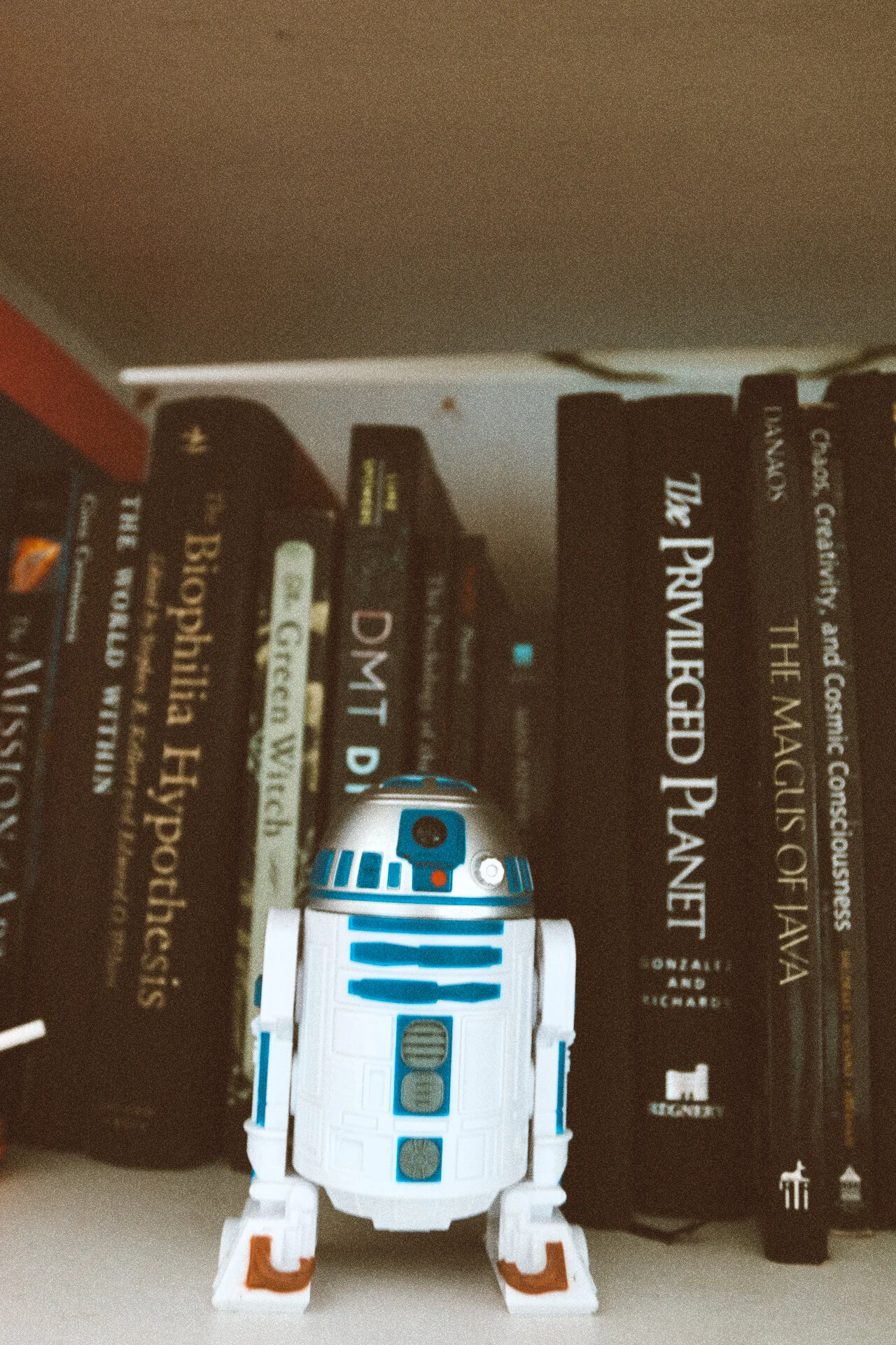 Caro Arevalo Studio Picks 20 .JPG