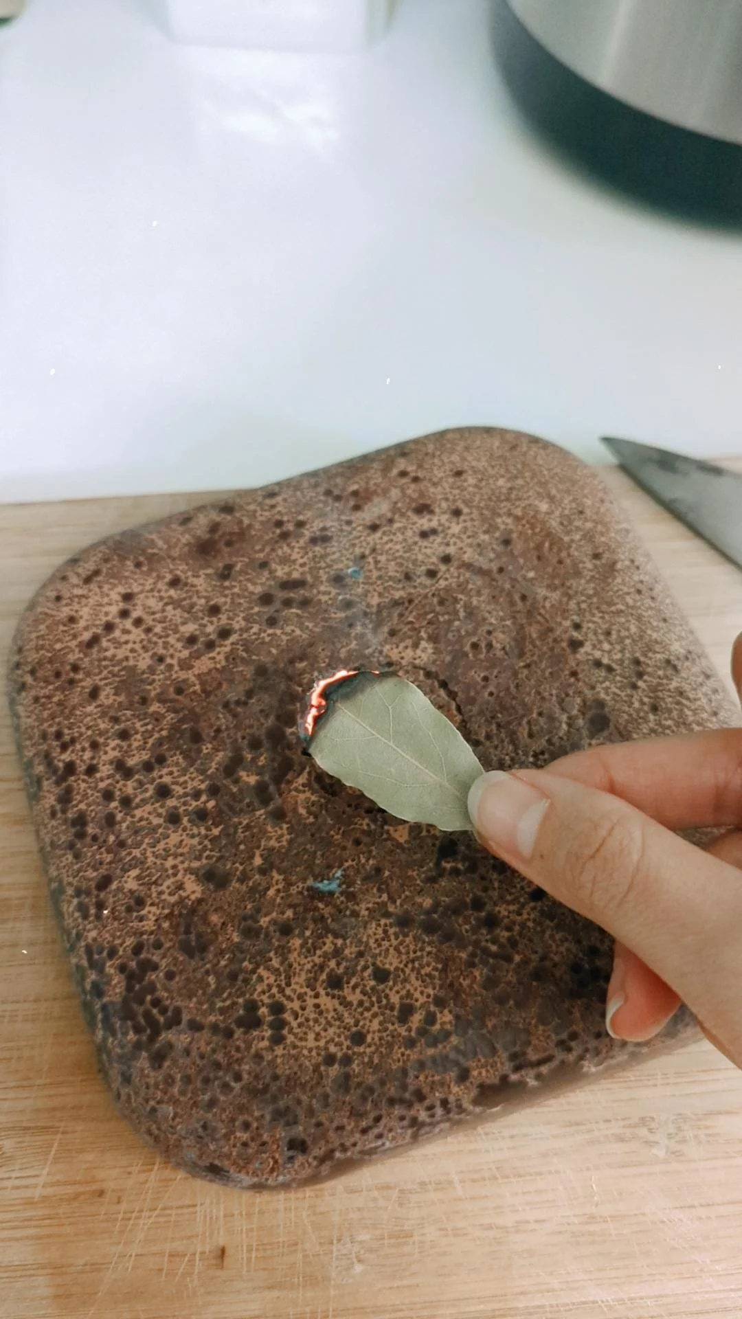 cacao x caro arevalo 9.jpg