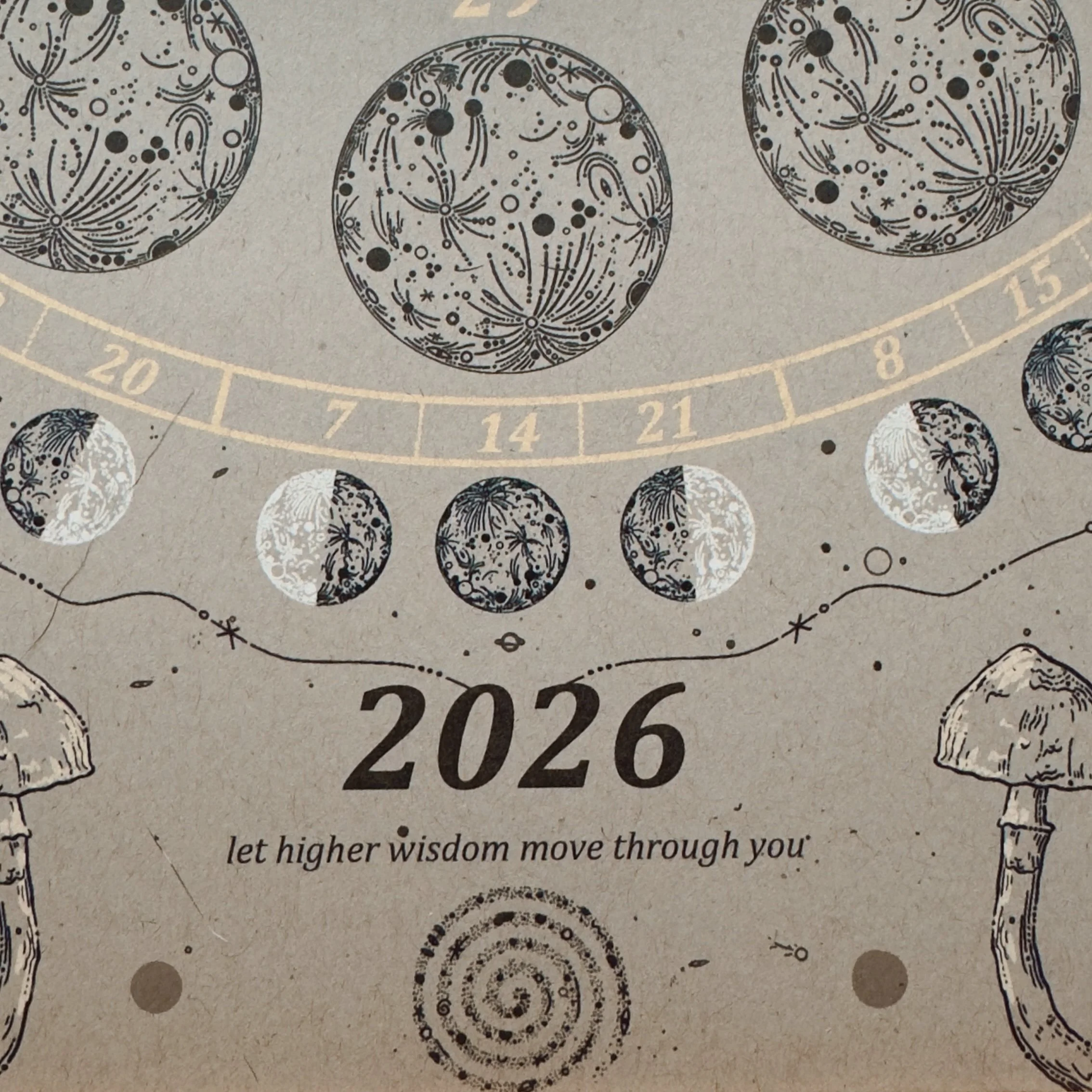 Moon Calendar 2026 x Caro Arevalo 4.JPG
