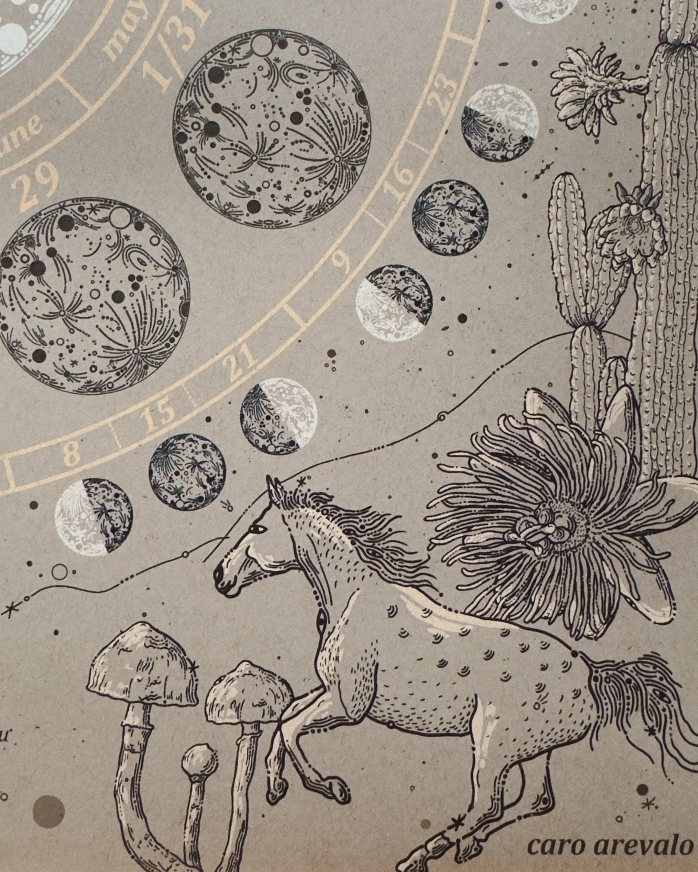 Moon Calendar 2026 x Caro Arevalo 3.JPG