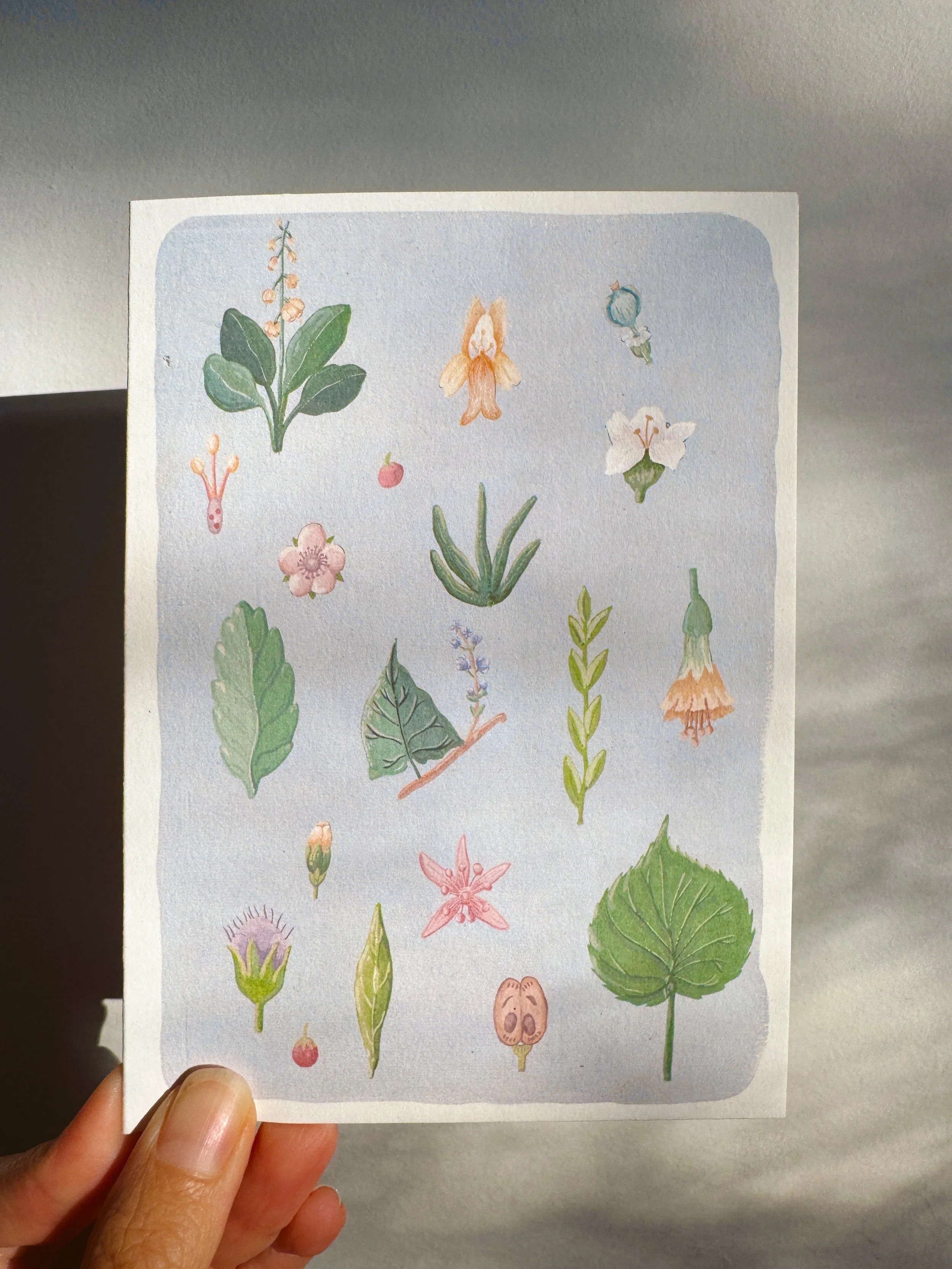 Wildflowers Card x Caro Arevalo.jpg