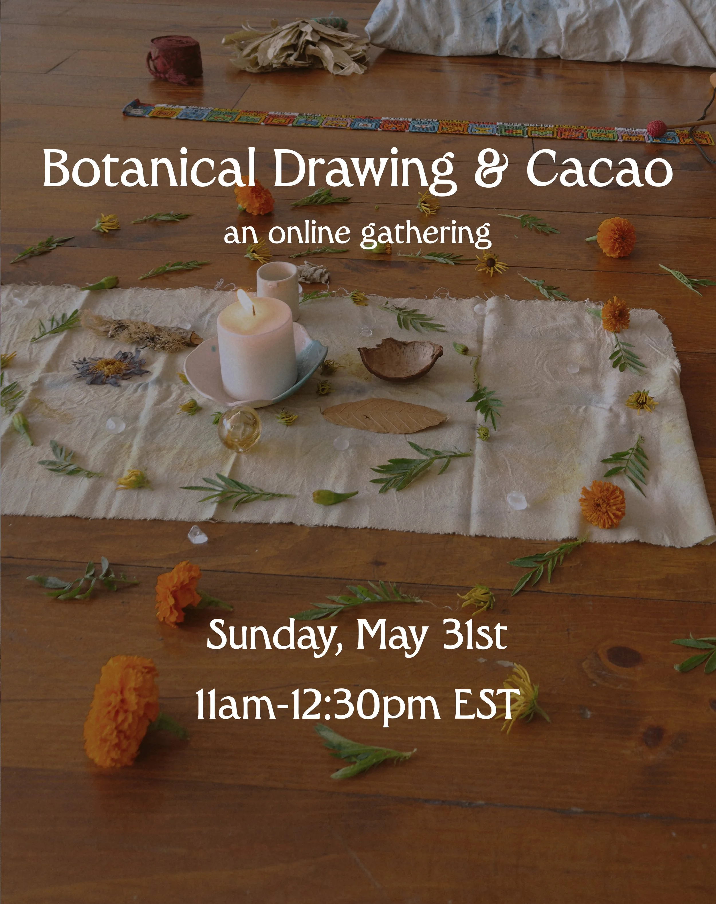 Botanical Drawing May 31st jpg.jpg