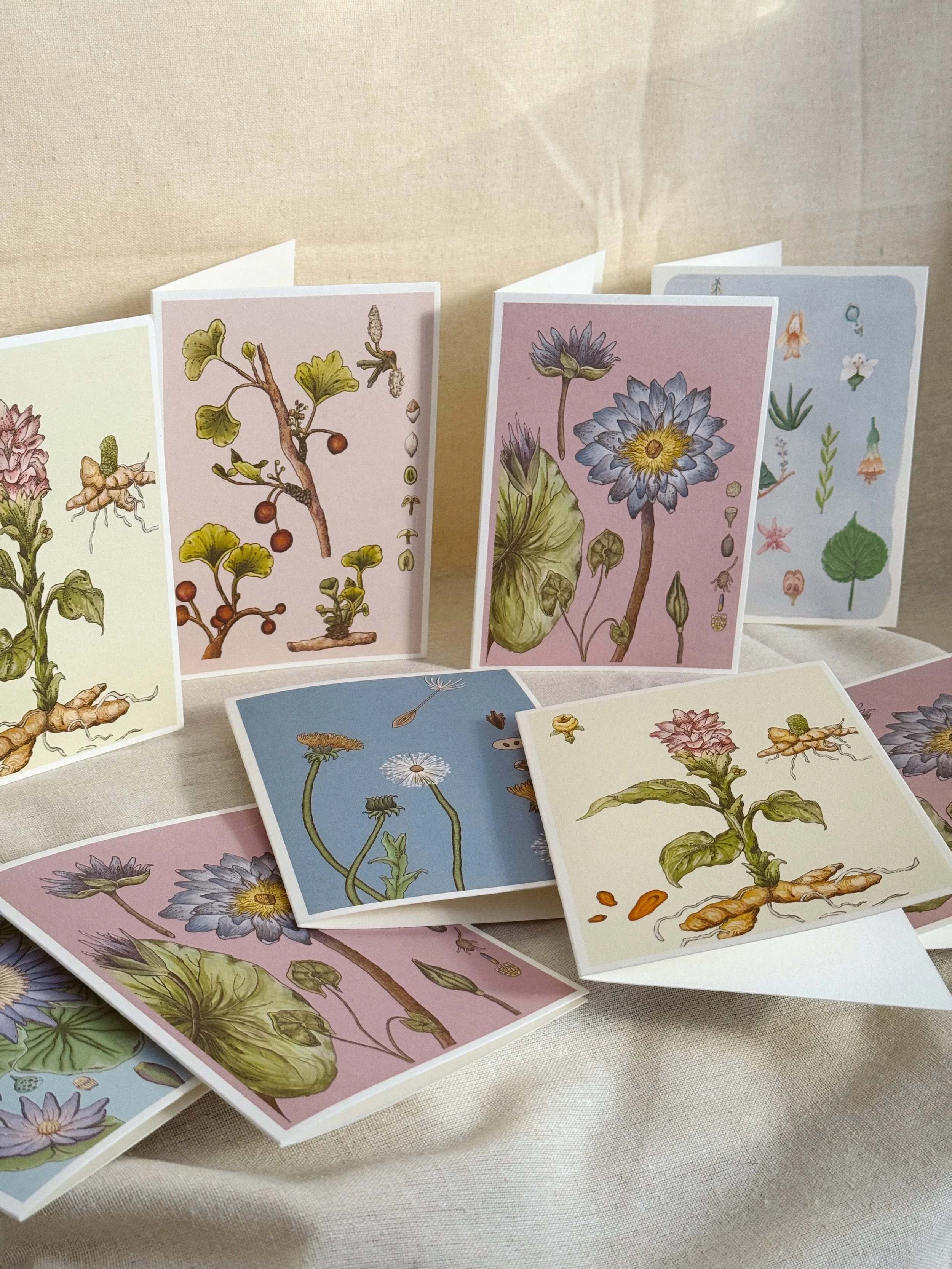 Botanical Greeting Cards