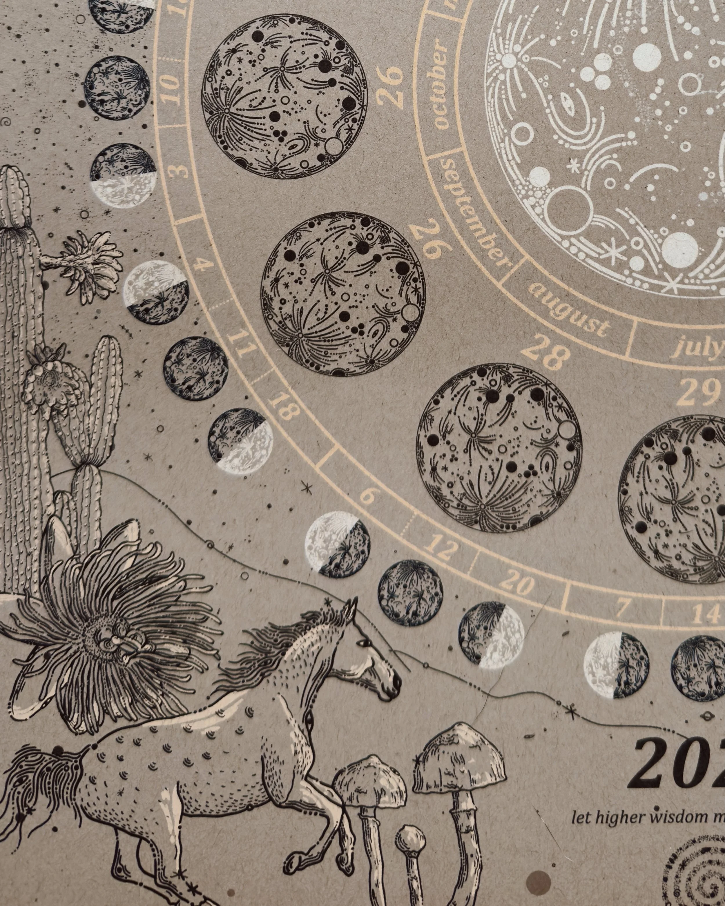 Moon Calendar 2026 x Caro Arevalo 5.JPG