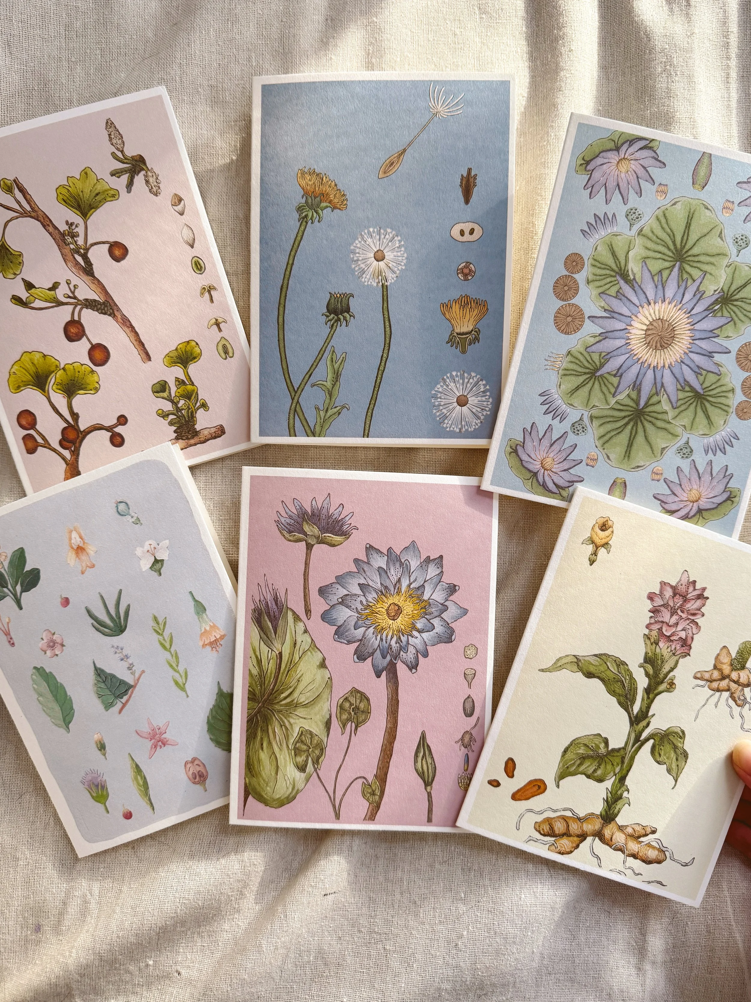 Cards x Caro Arevalo 2.jpg