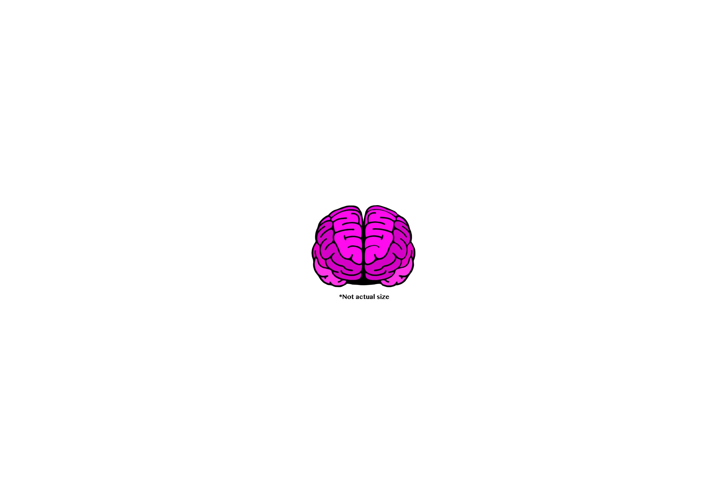 BriansBrainSmall.jpg