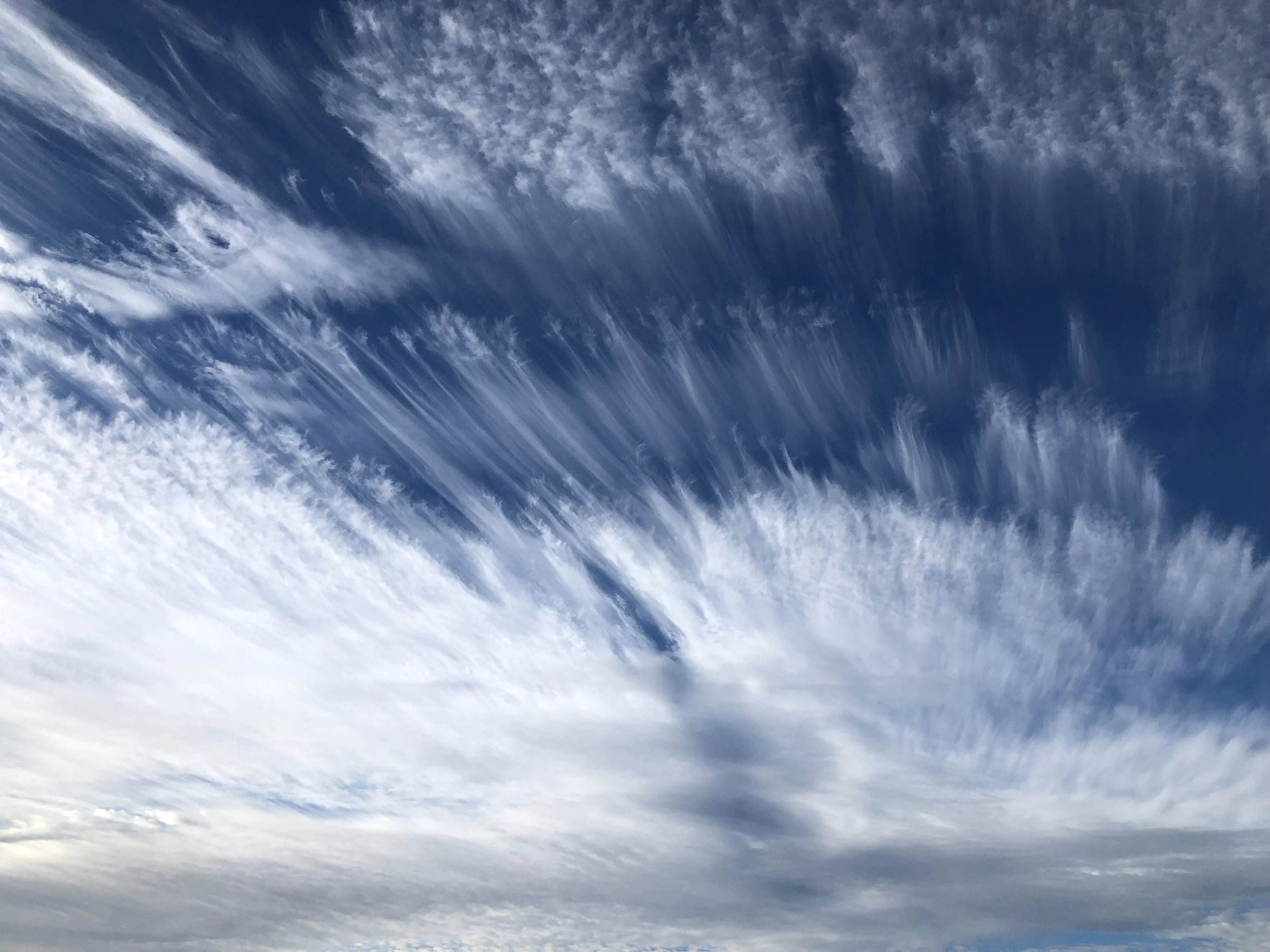 Deciding to take the Leap