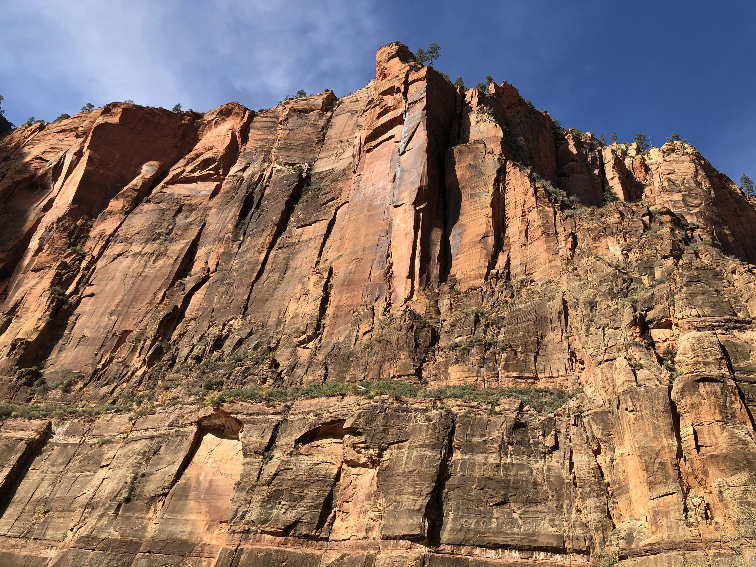 Zion | Learning to Trust Myself