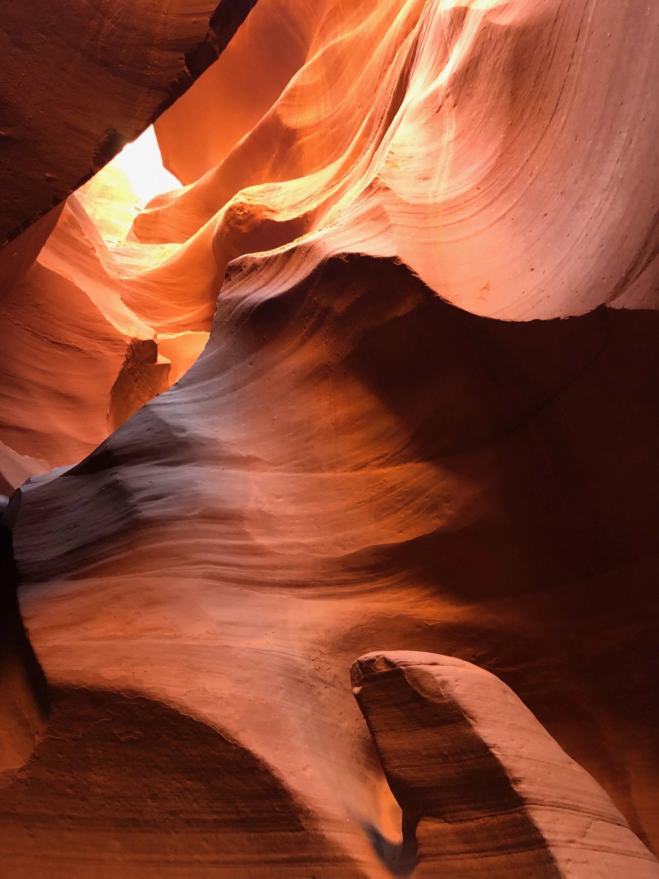 Antelope | The Power of Water