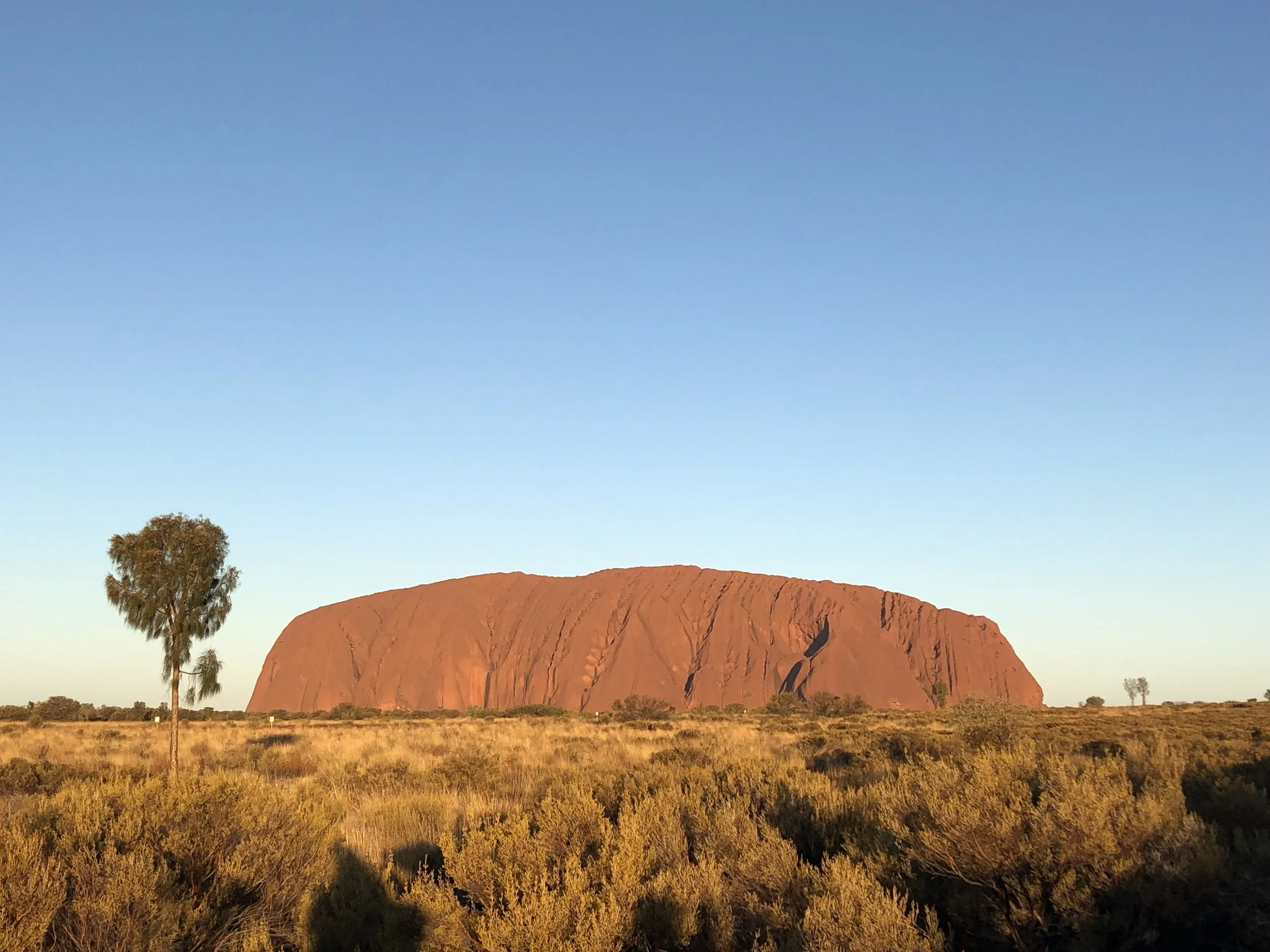 To the Outback: Uluru and King's Canyon Tour