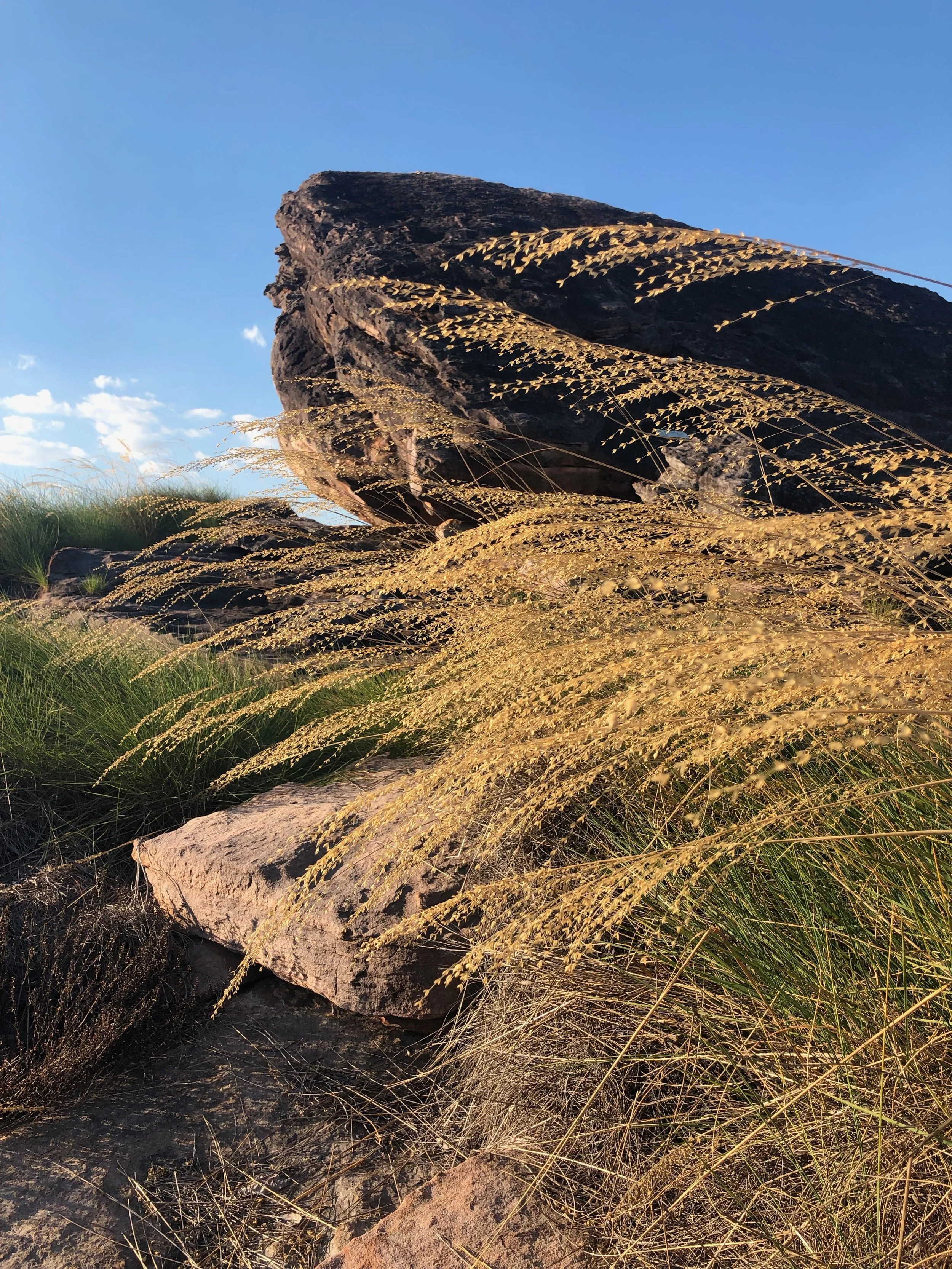 Kakadu National Park