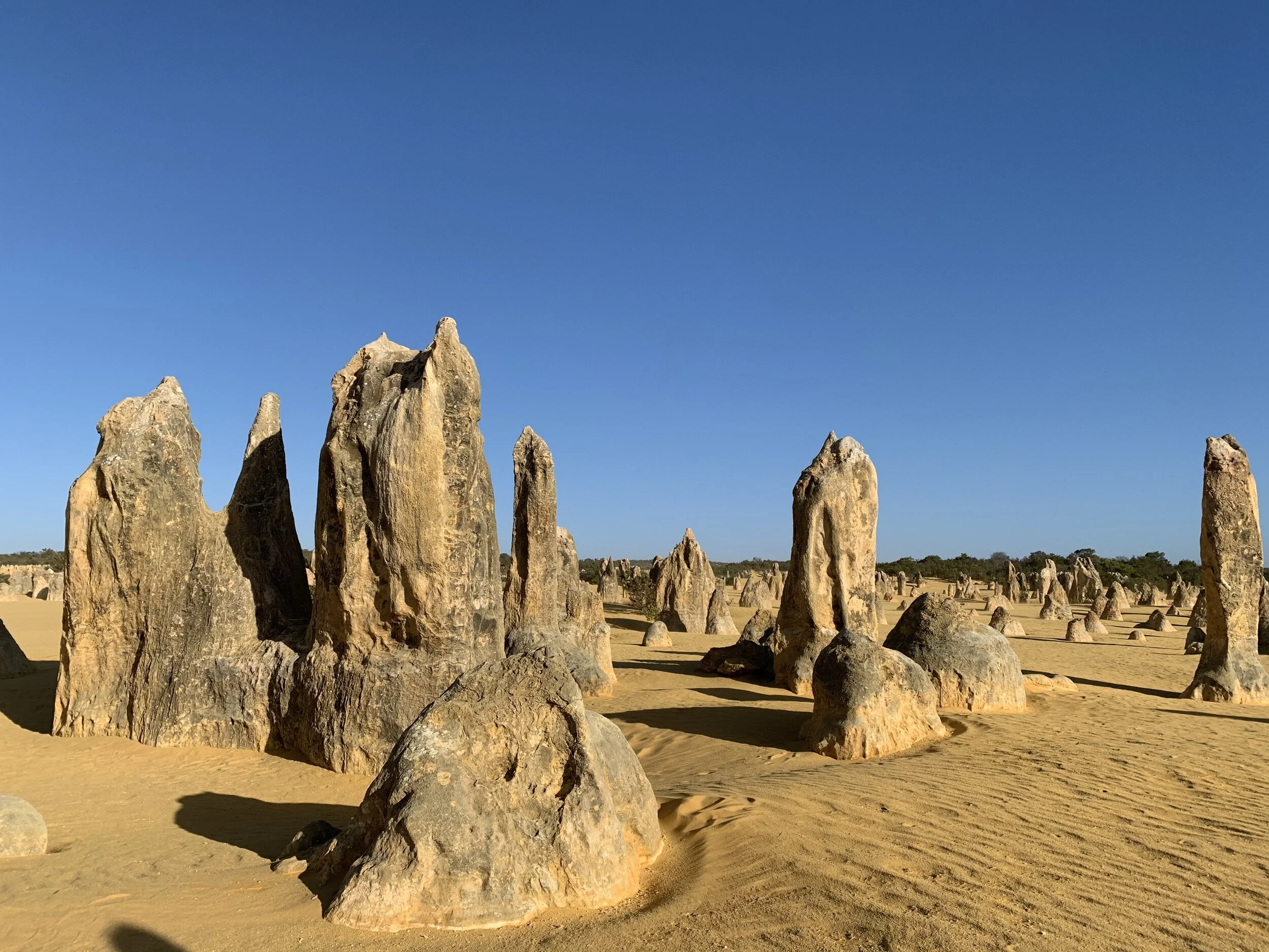 Western Australia Day Trips