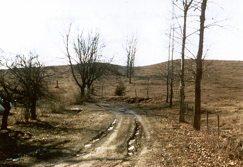 Swale coming down into Wolf River valley
