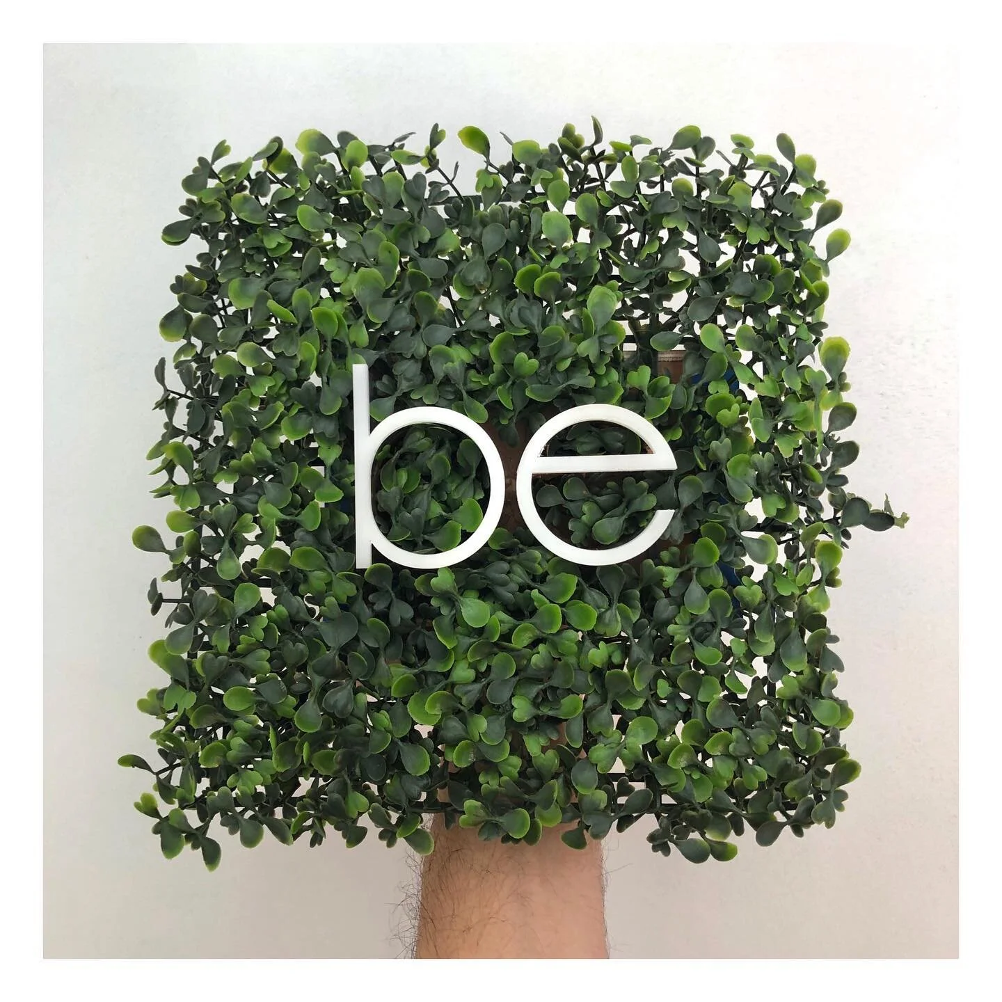 Blended, a health-food restaurant in Hilldale Mall, requested an evergreen hedge-style blade sign. We did it and we lit it up. 

@blendedmadison

#signs  #Madison #local #smallbusiness #signsofmadison #signsofmadisonwi #customsign