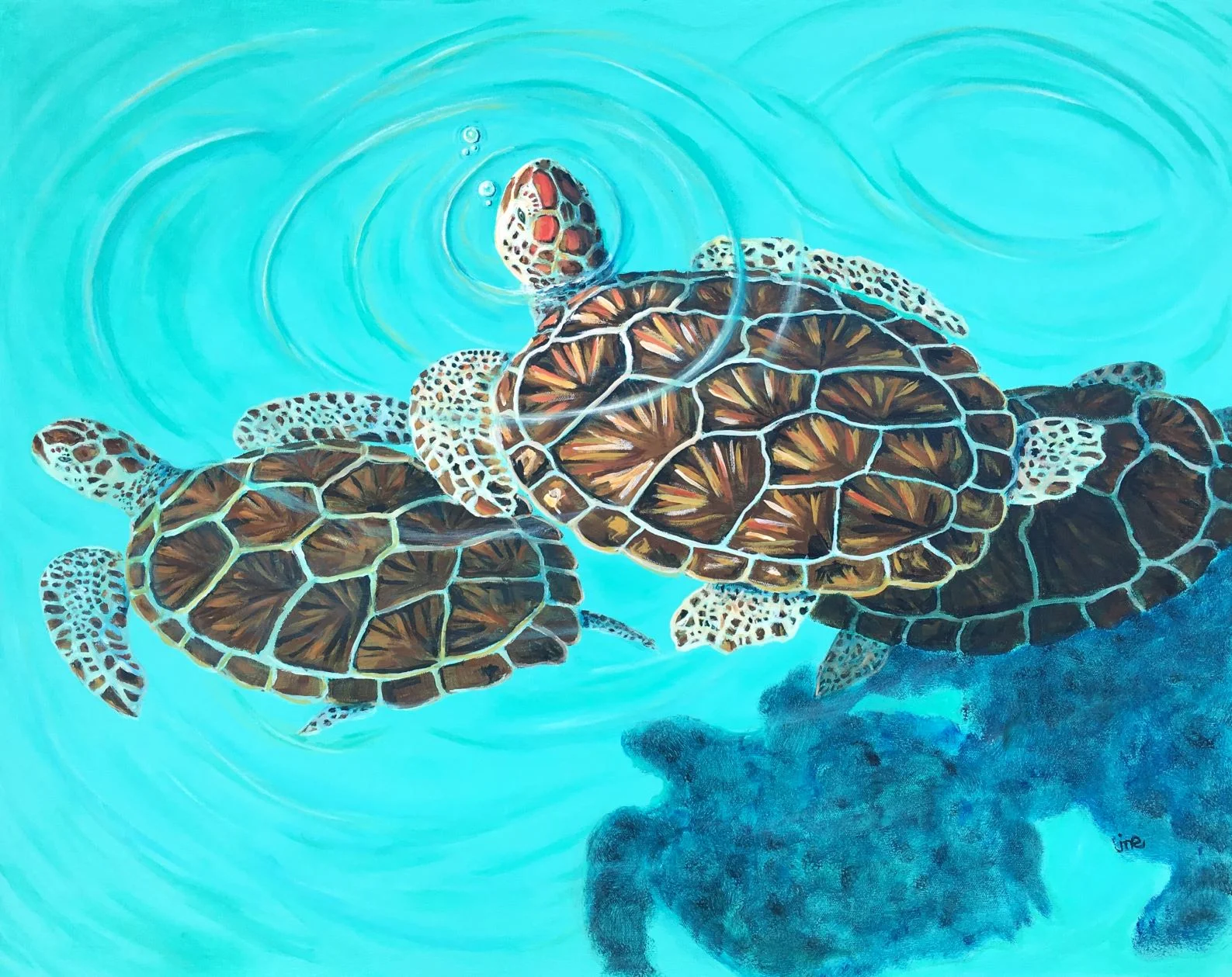 Turtle Trio