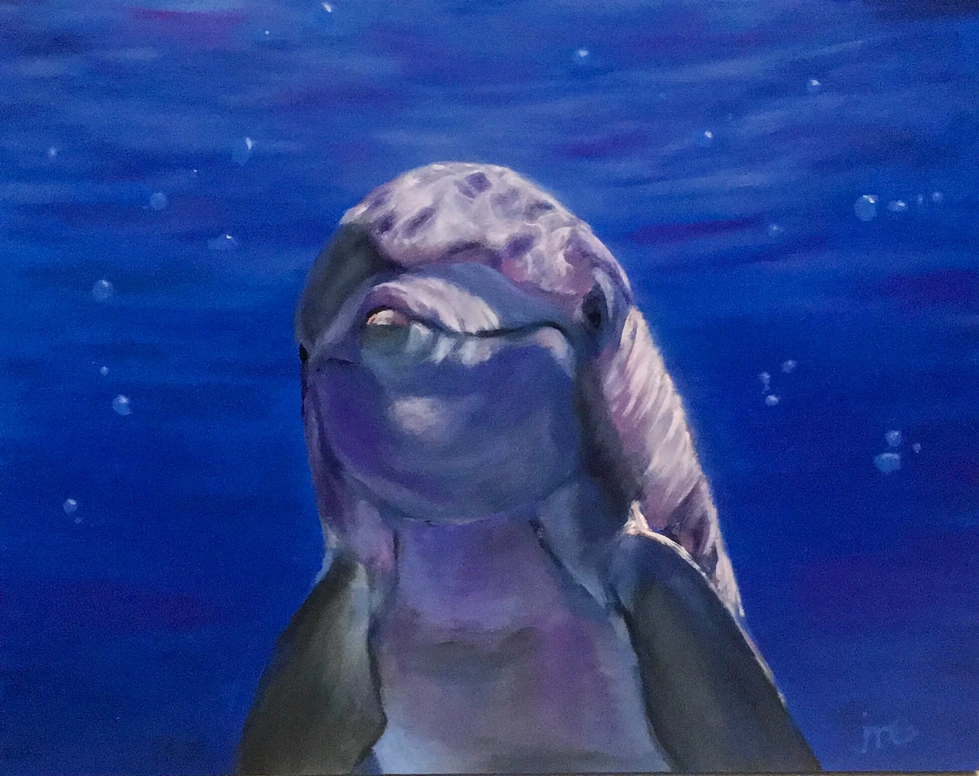 Darla's Dolphin
