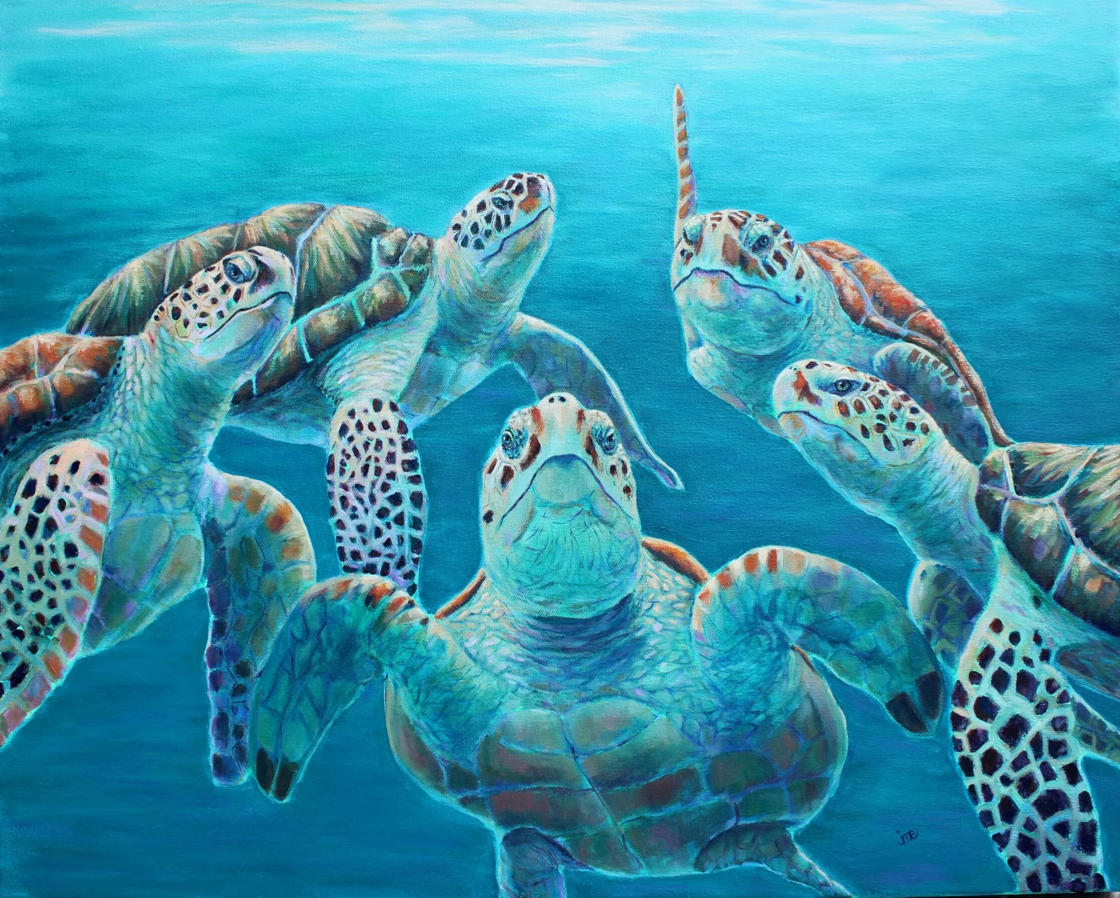 Five Turtles