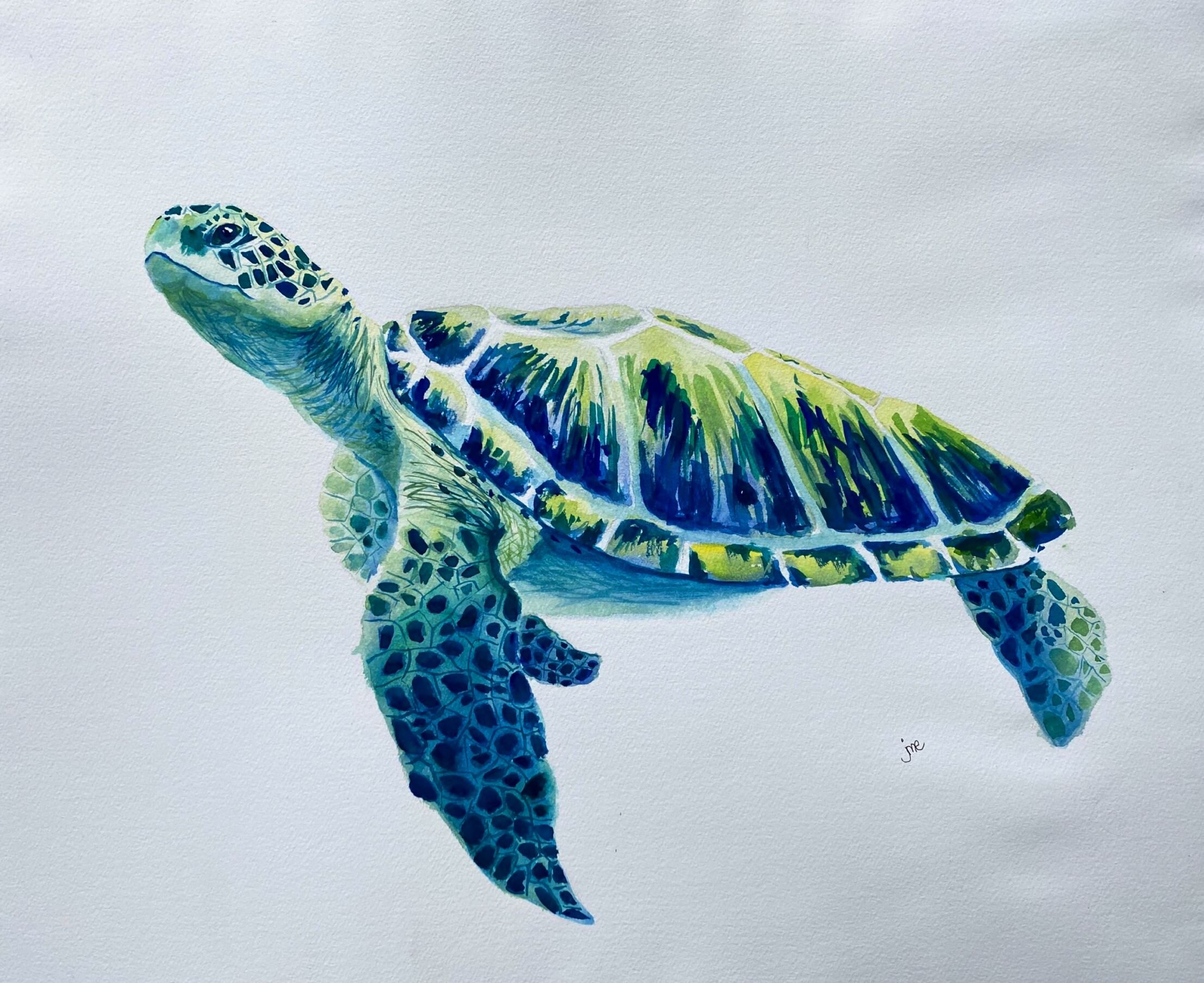 Watercolor Turtle