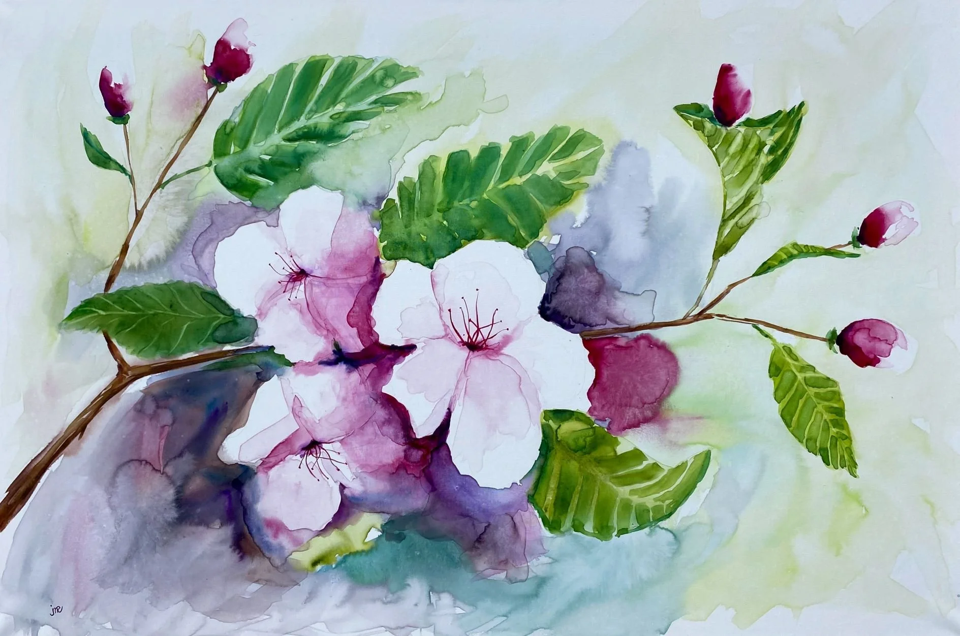 Cherry Blossom Sprig