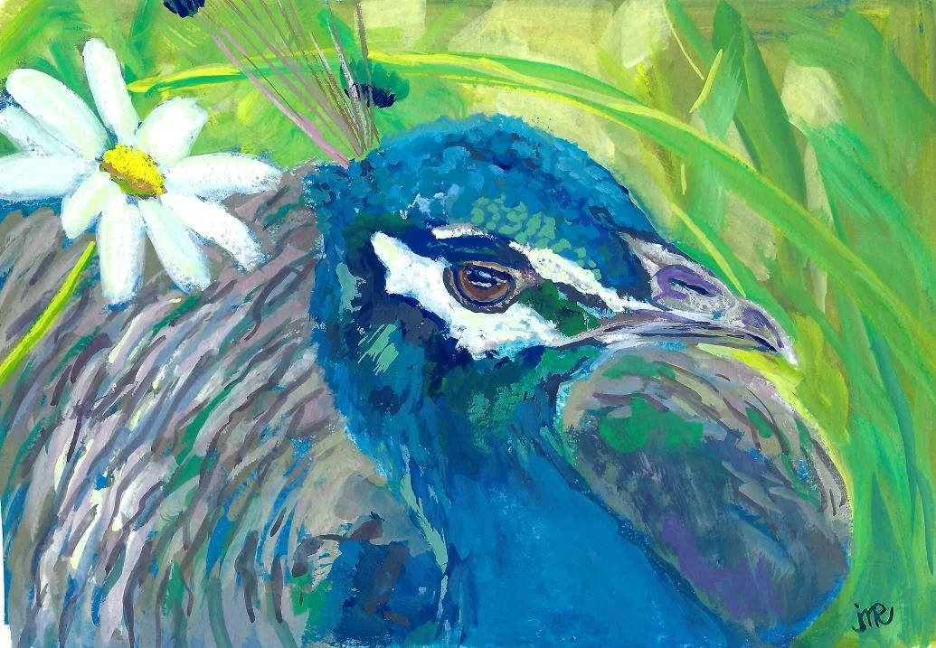 Peacock and Daisy