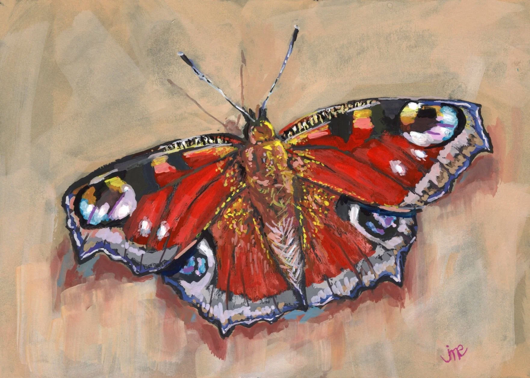 Peacock Butterfly in Gouache